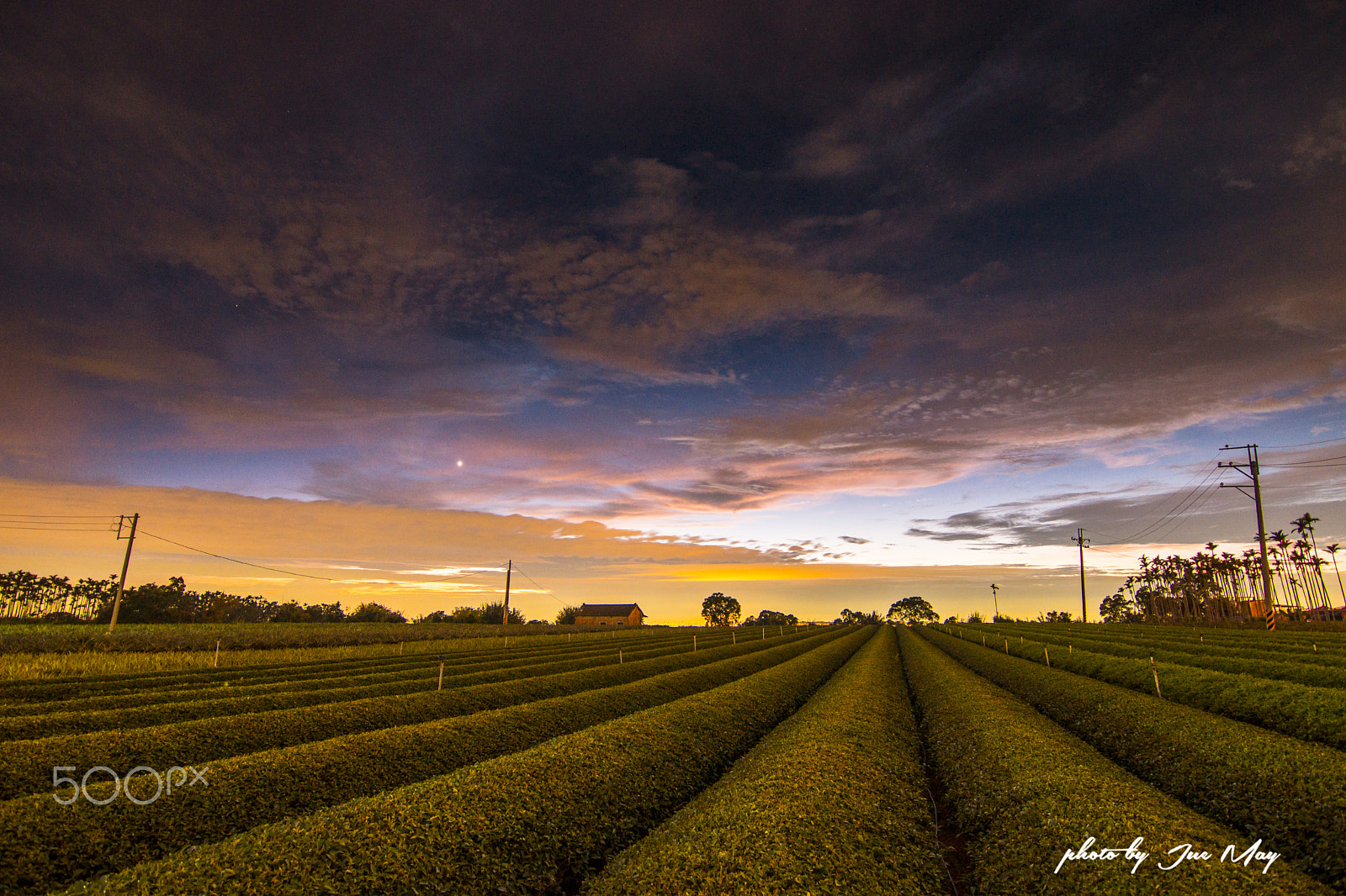 Sony SLT-A77 sample photo. 夕陽雲彩 photography