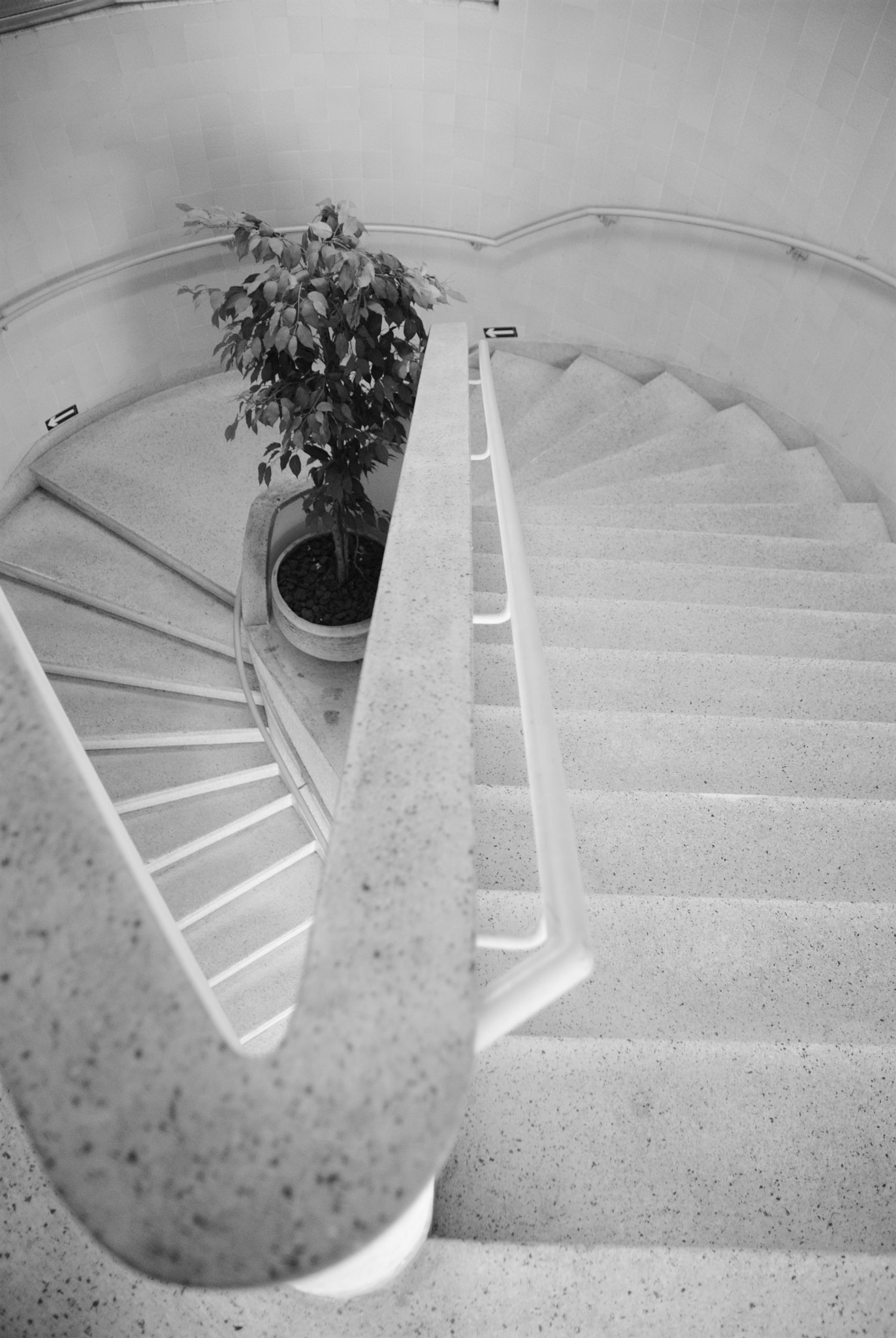 Sigma 17-50mm F2.8 EX DC OS HSM sample photo. Stairs 2 photography