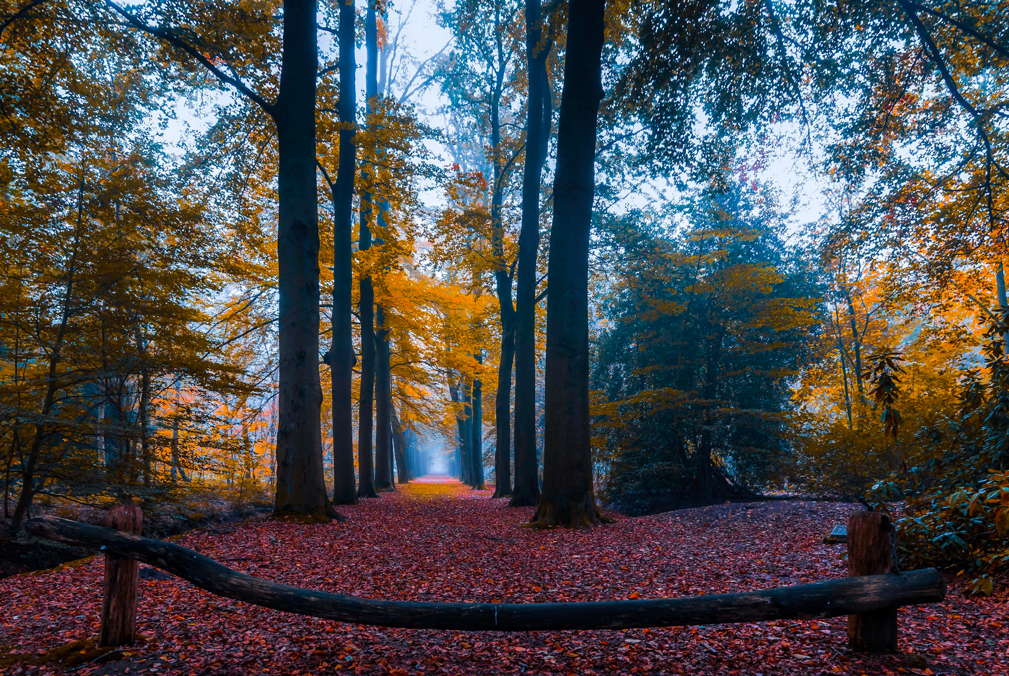 Tokina AT-X 11-20mm F2.8 PRO DX sample photo. Main path photography