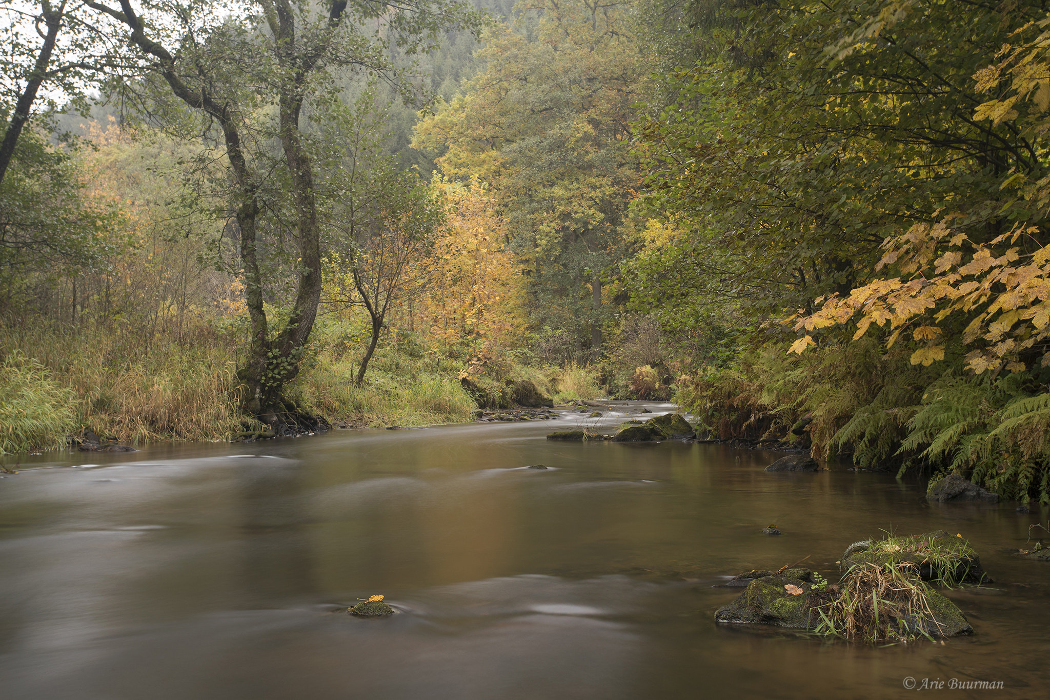 Canon EF 17-40mm F4L USM sample photo. Amel ambleve photography