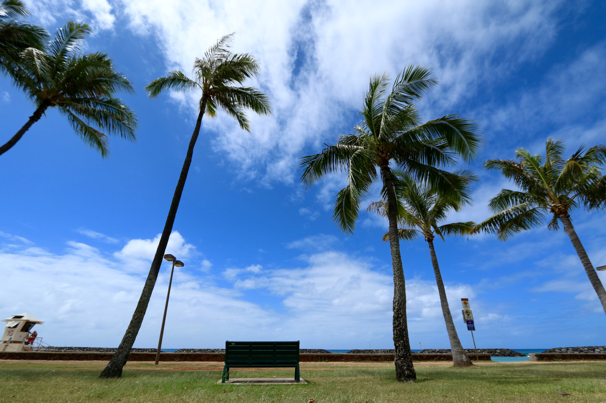 Canon EOS M3 sample photo. Img photography