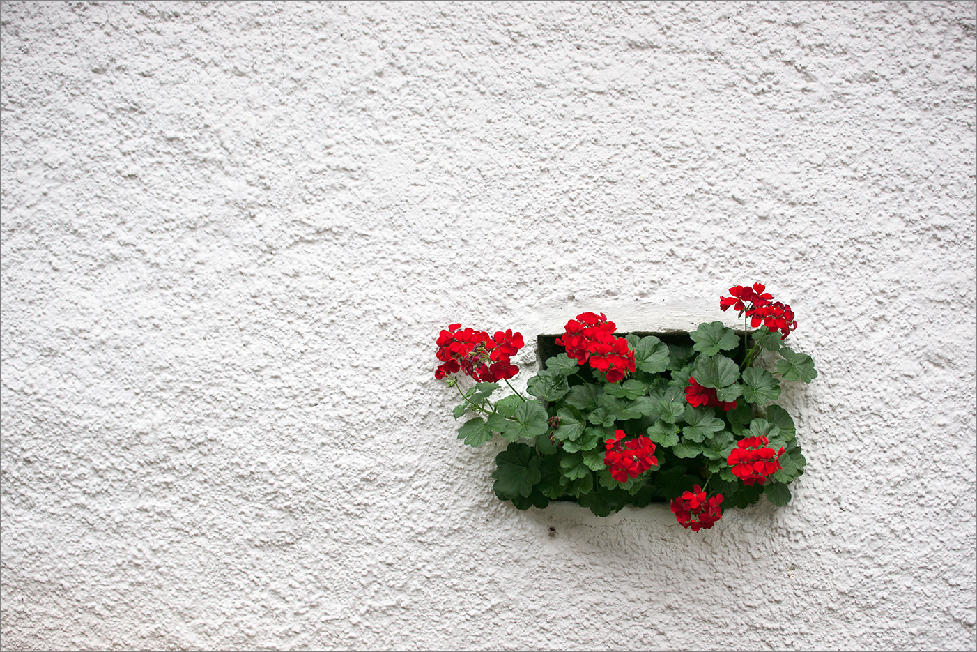 Minolta/Sony AF 70-200mm F2.8 G sample photo. "brennende liab" photography