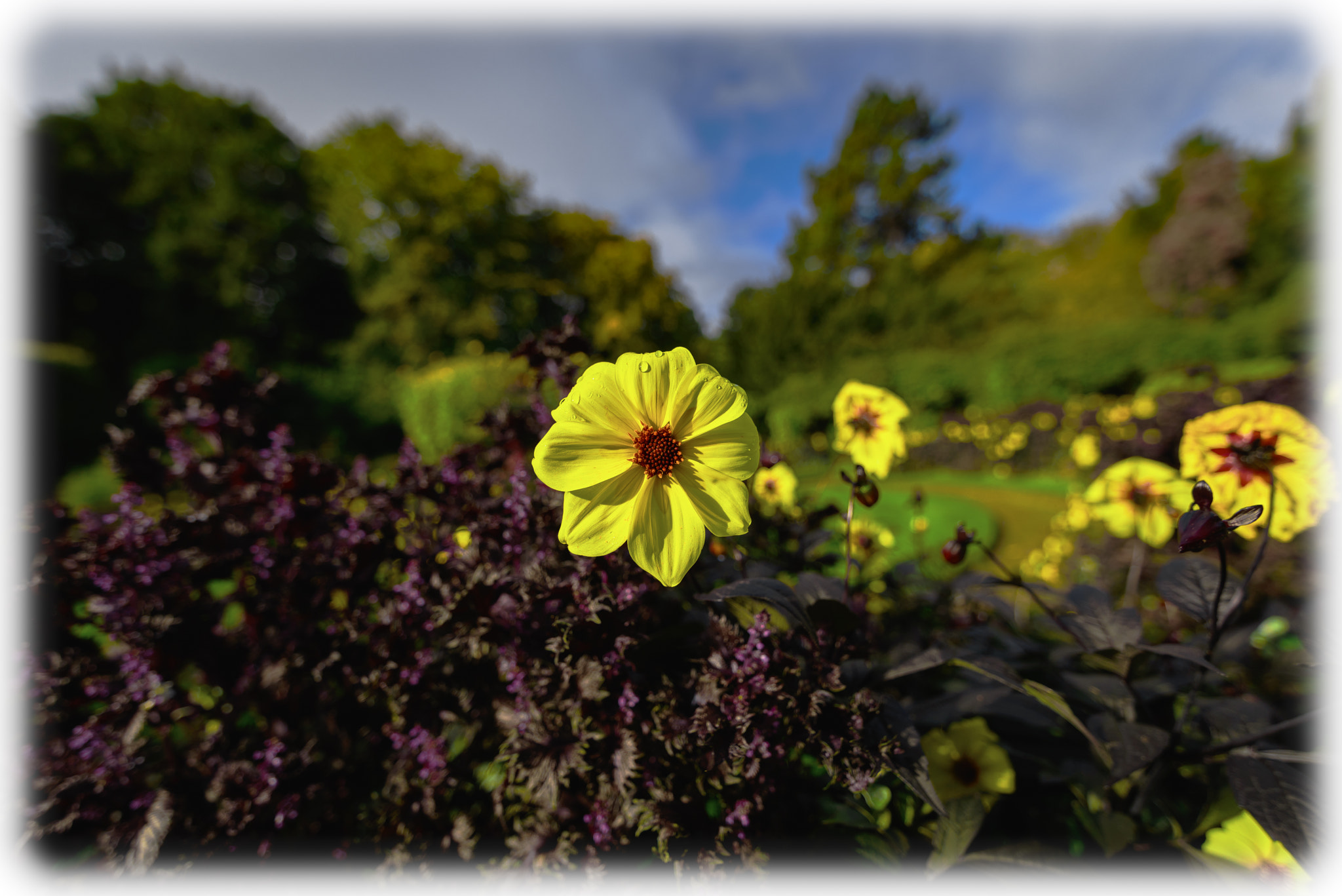 Tokina AT-X 16-28mm F2.8 Pro FX sample photo. Mjh photography