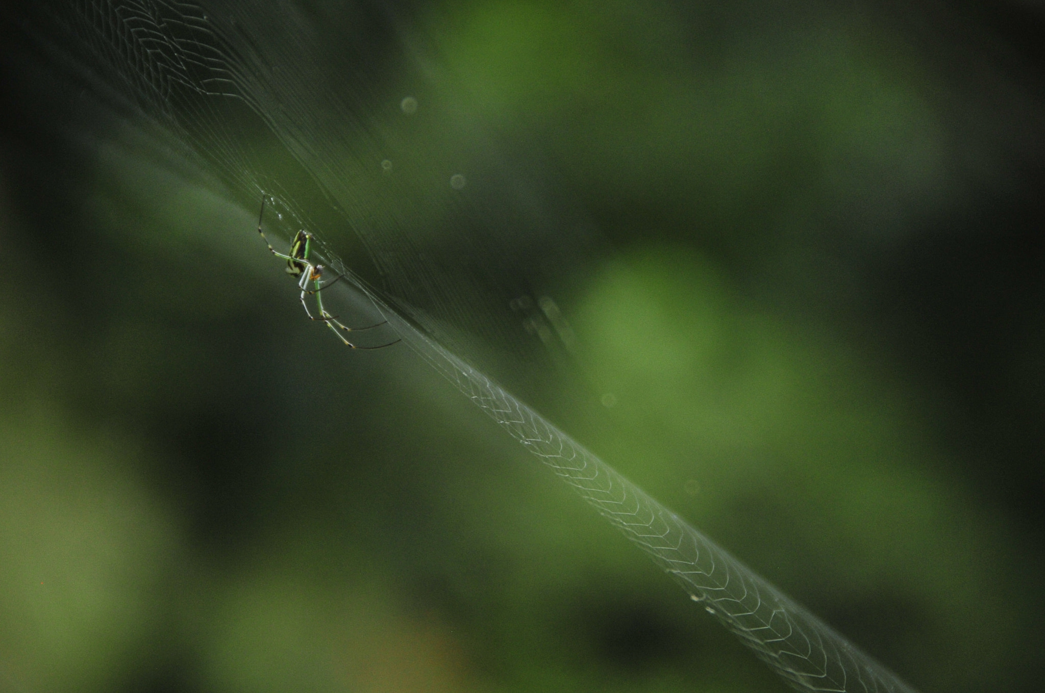 Nikon D3 sample photo. .. photography