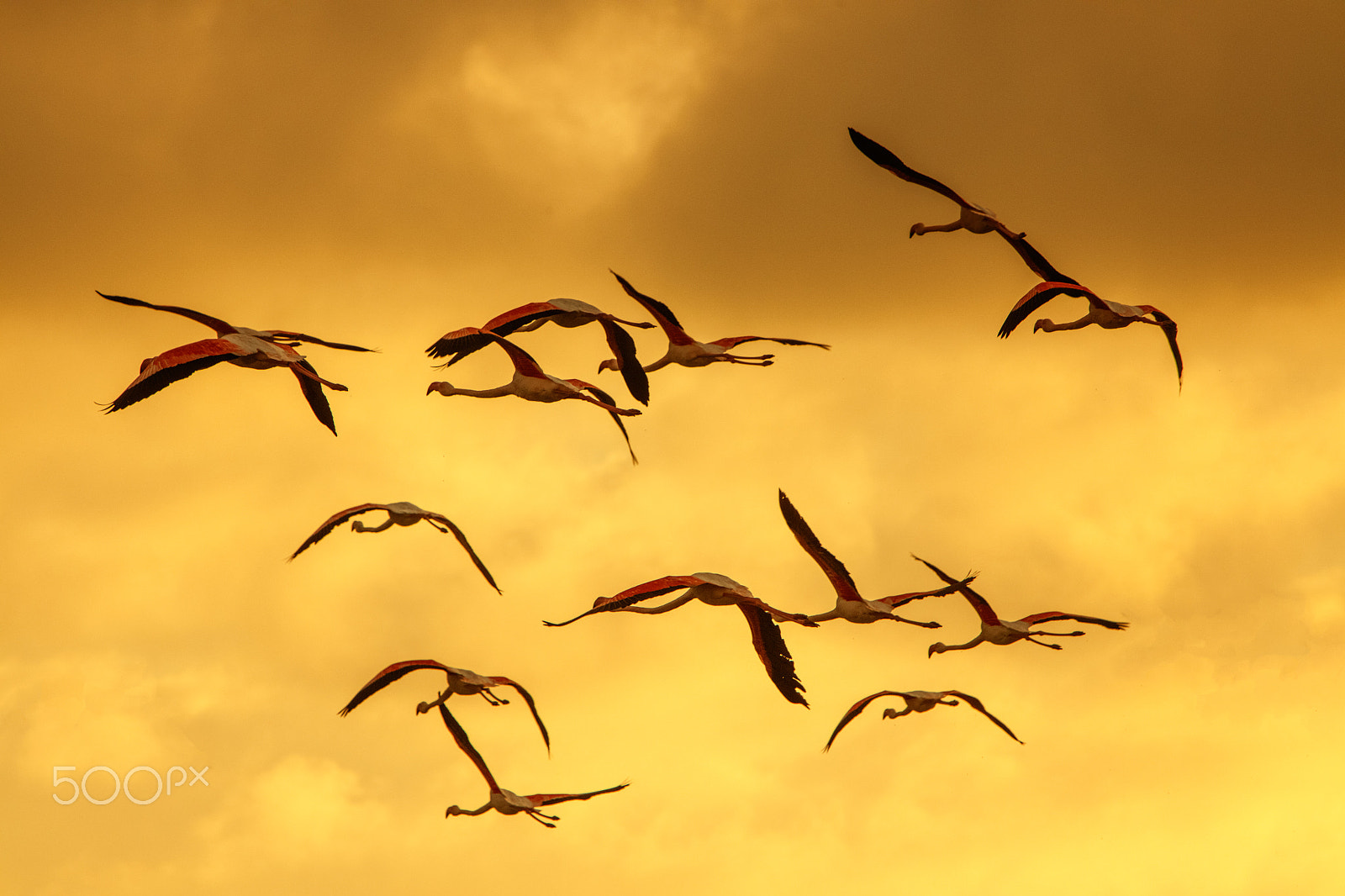 Canon EF 70-200mm F2.8L IS USM sample photo. Flights dawn photography