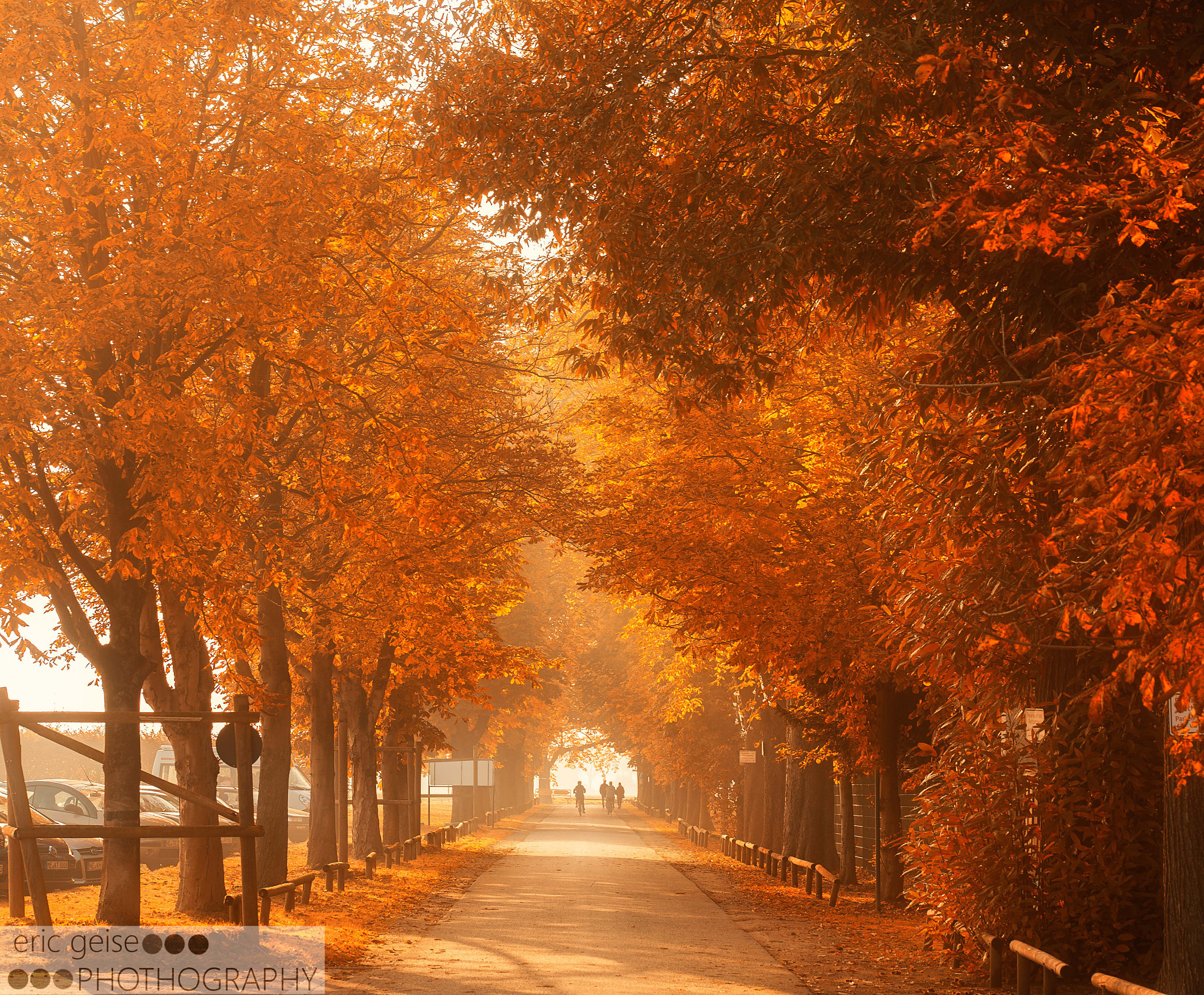 Sigma 105mm F2.8 EX DG OS HSM sample photo. Allee photography