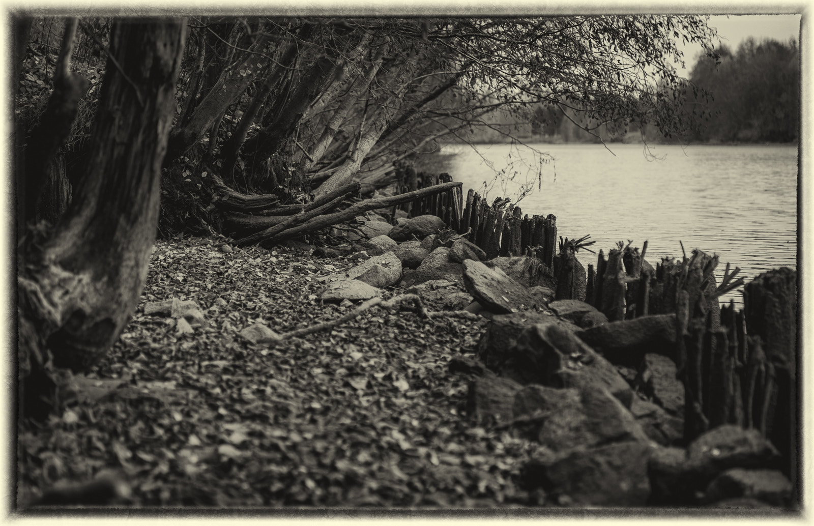 Nikon AF-S Micro-Nikkor 60mm F2.8G ED sample photo. River low, no mountain at all photography