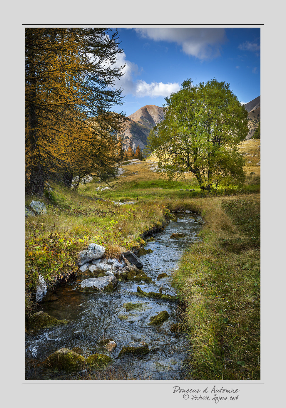 Canon EOS-1Ds Mark III sample photo. Douceur d'automne photography