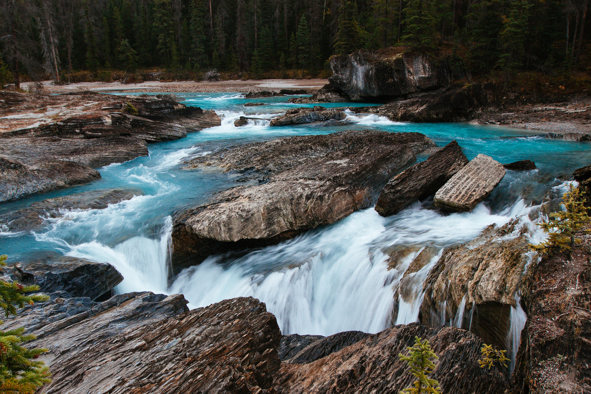 Canon EF 16-35mm F2.8L II USM sample photo. Kicking horse river photography