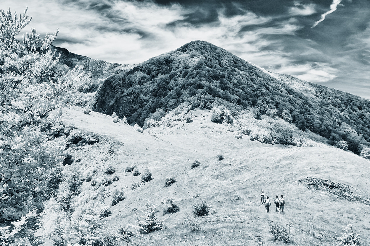Sigma SD15 sample photo. Hiking in bw photography