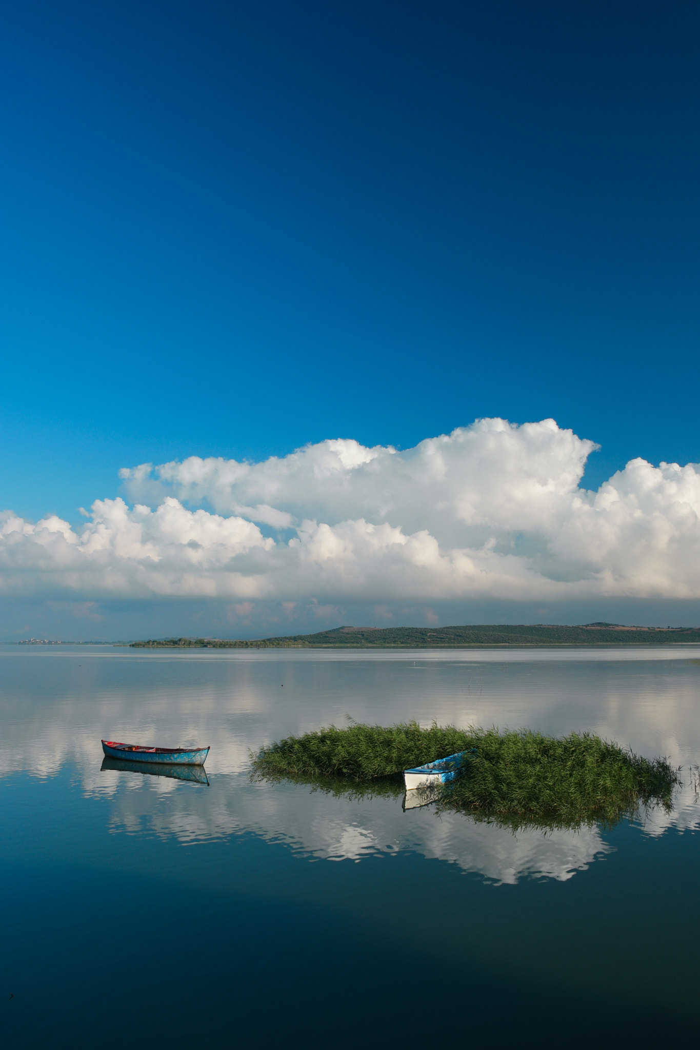 Saumsun NX 16-50mm F2-2.8 S ED OIS sample photo