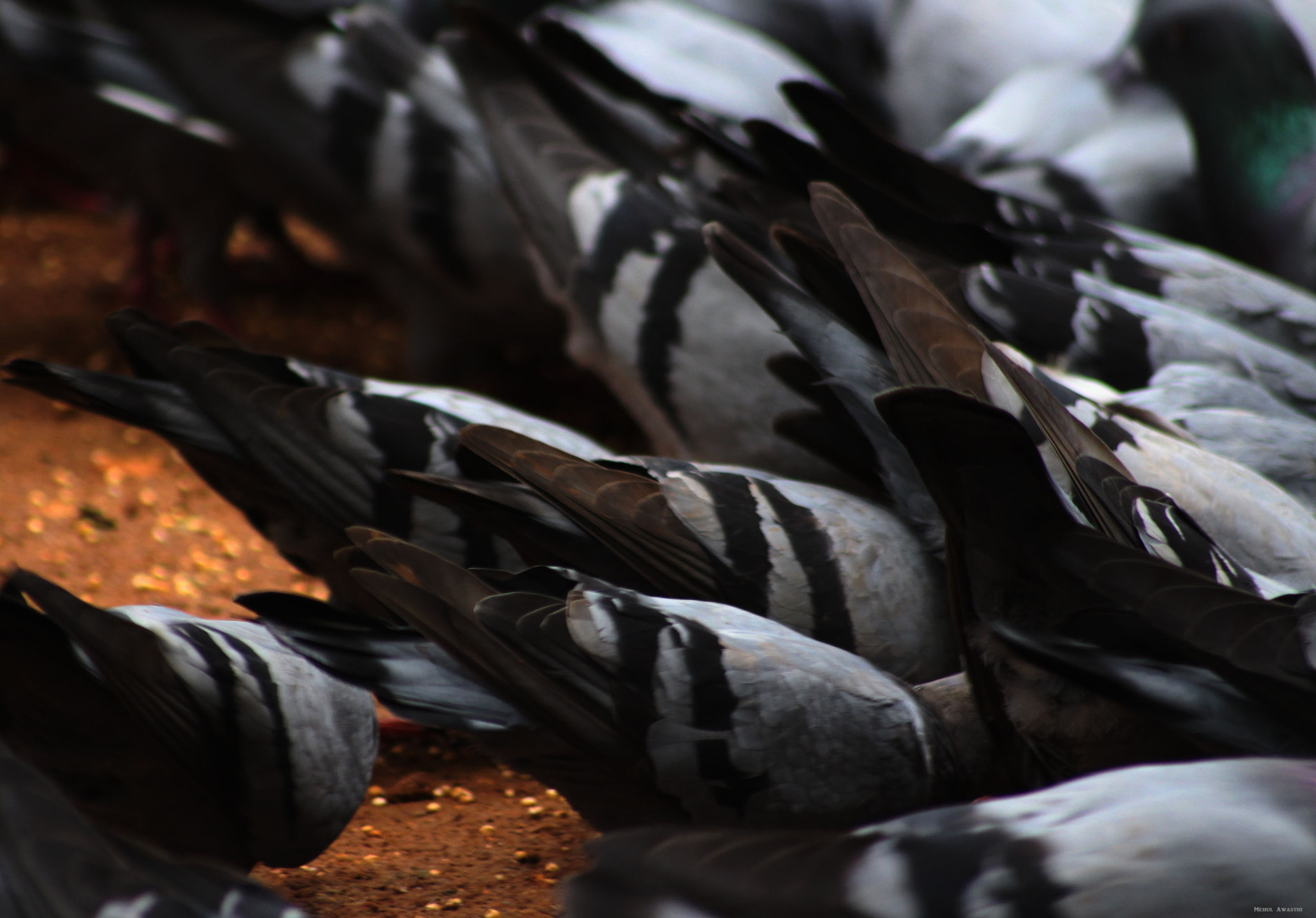 Canon EOS 650D (EOS Rebel T4i / EOS Kiss X6i) sample photo. Bottoms up photography