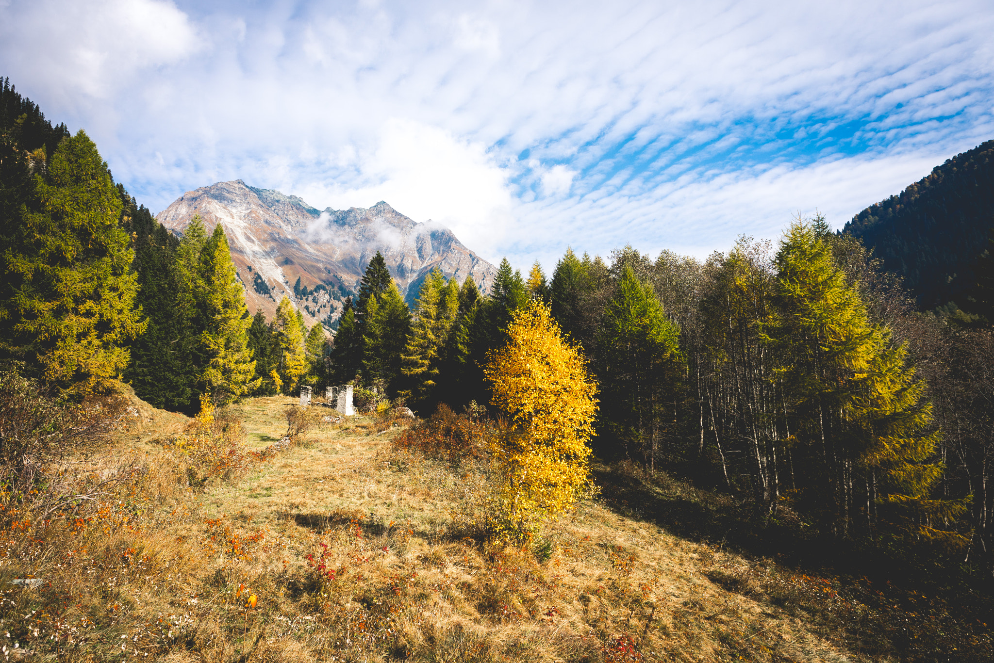 Nikon D610 + Nikon AF Nikkor 20mm F2.8D sample photo. Val bregaglia, switzerland photography