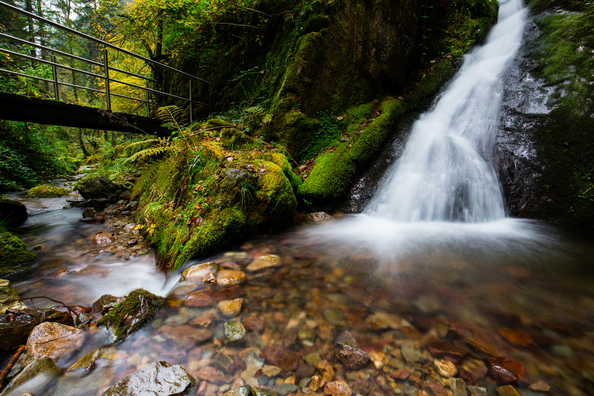 Canon EF 16-35mm F4L IS USM sample photo. Autumn in black forest photography