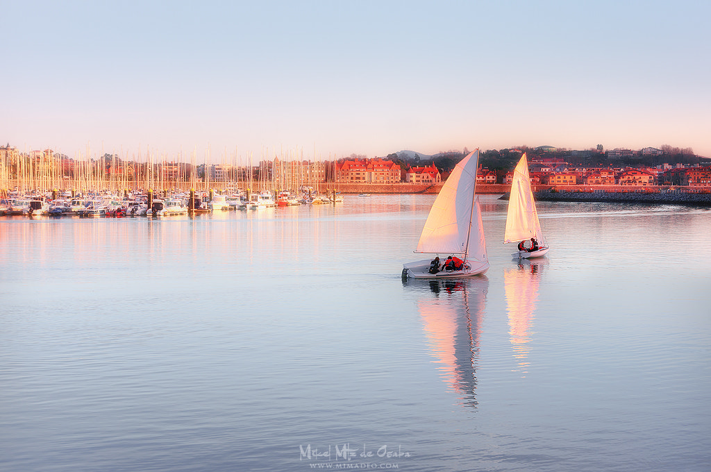 Sony E 18-200mm F3.5-6.3 OSS sample photo. Brushstrokes of summer photography