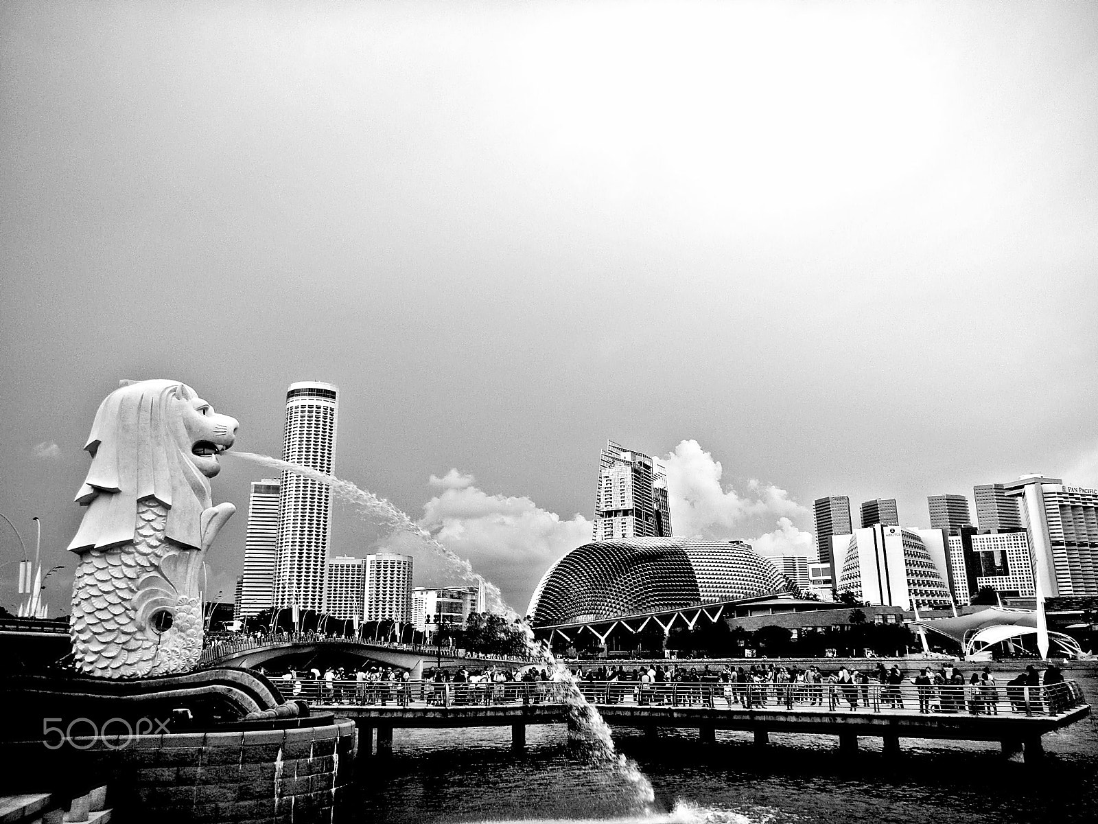 Nikon Coolpix S1200pj sample photo. Lion,  fish, and the city photography