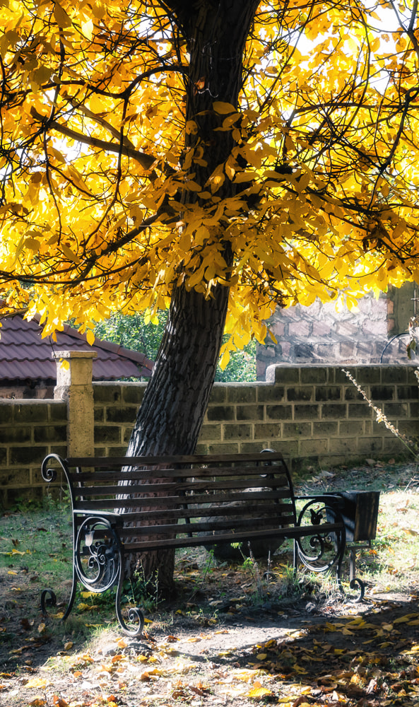 Canon EOS 700D (EOS Rebel T5i / EOS Kiss X7i) + Sigma 24-70mm F2.8 EX DG Macro sample photo. The bench photography