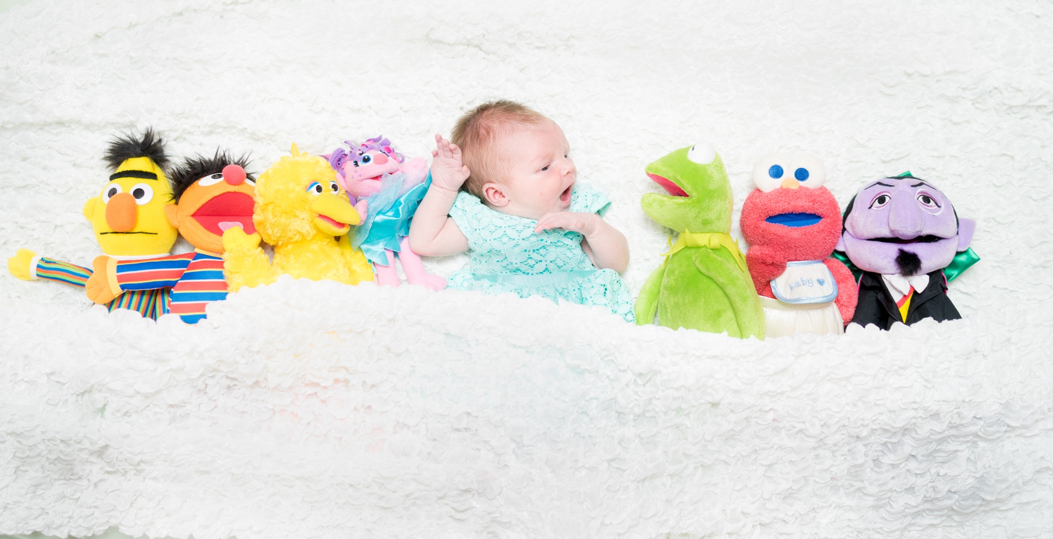 Sony a7 + Sony Distagon T* FE 35mm F1.4 ZA sample photo. Sesame street photography