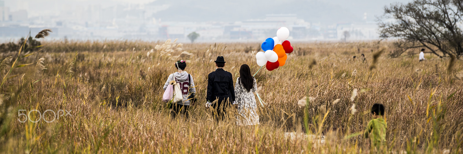 Sony 70-300mm F4.5-5.6 G SSM sample photo. Concept photo photography