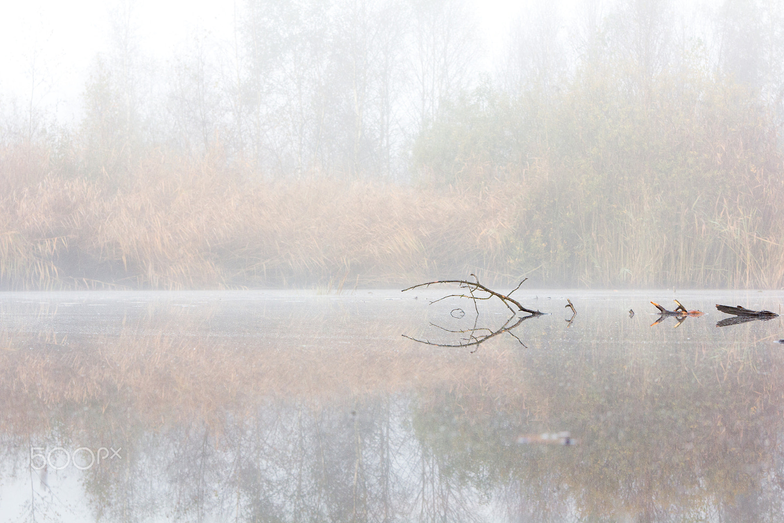 Canon EOS 60D + Tamron AF 28-75mm F2.8 XR Di LD Aspherical (IF) sample photo. Reflections in the mist photography
