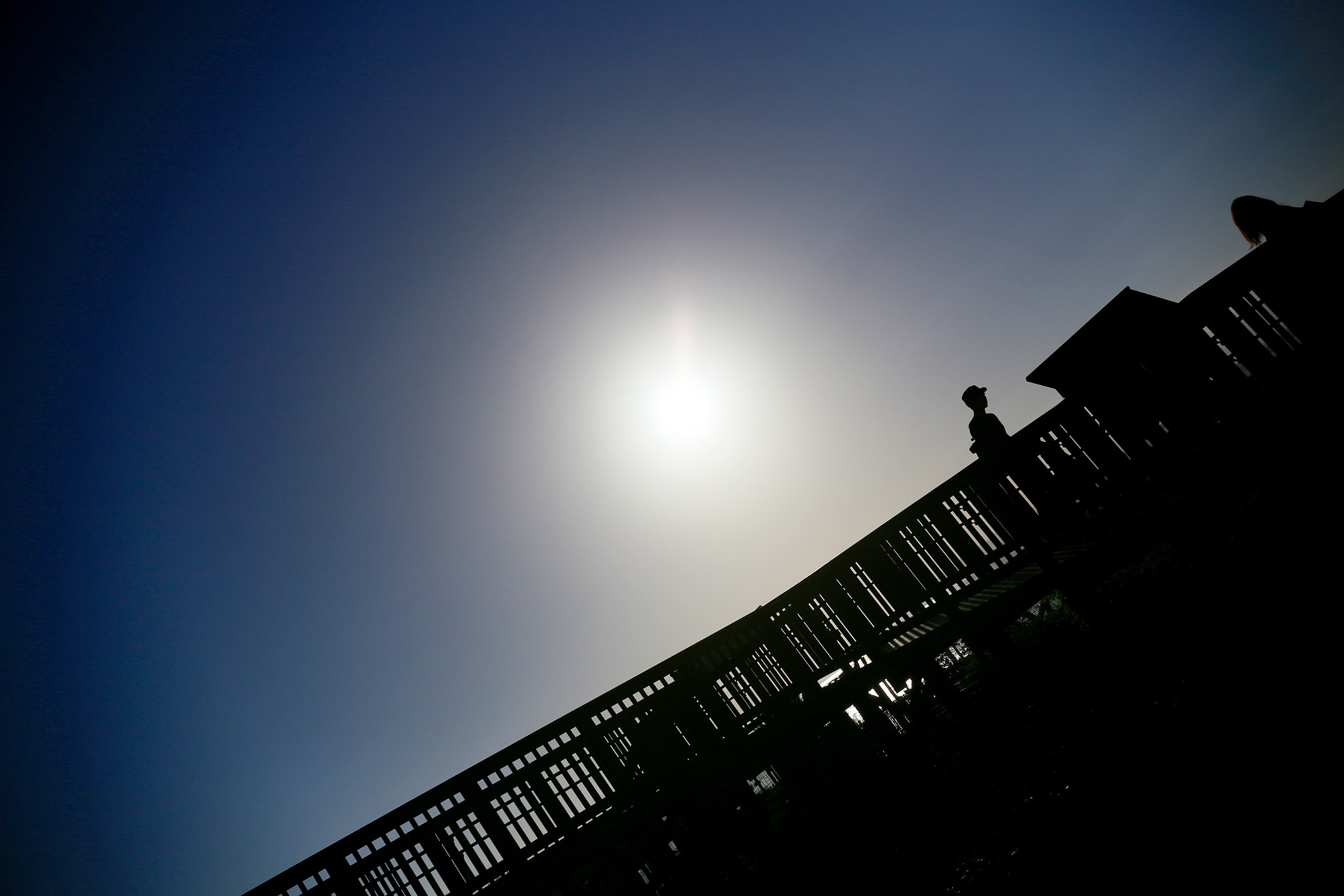Sigma 18-35mm f/1.8 DC HSM sample photo. Summer days photography