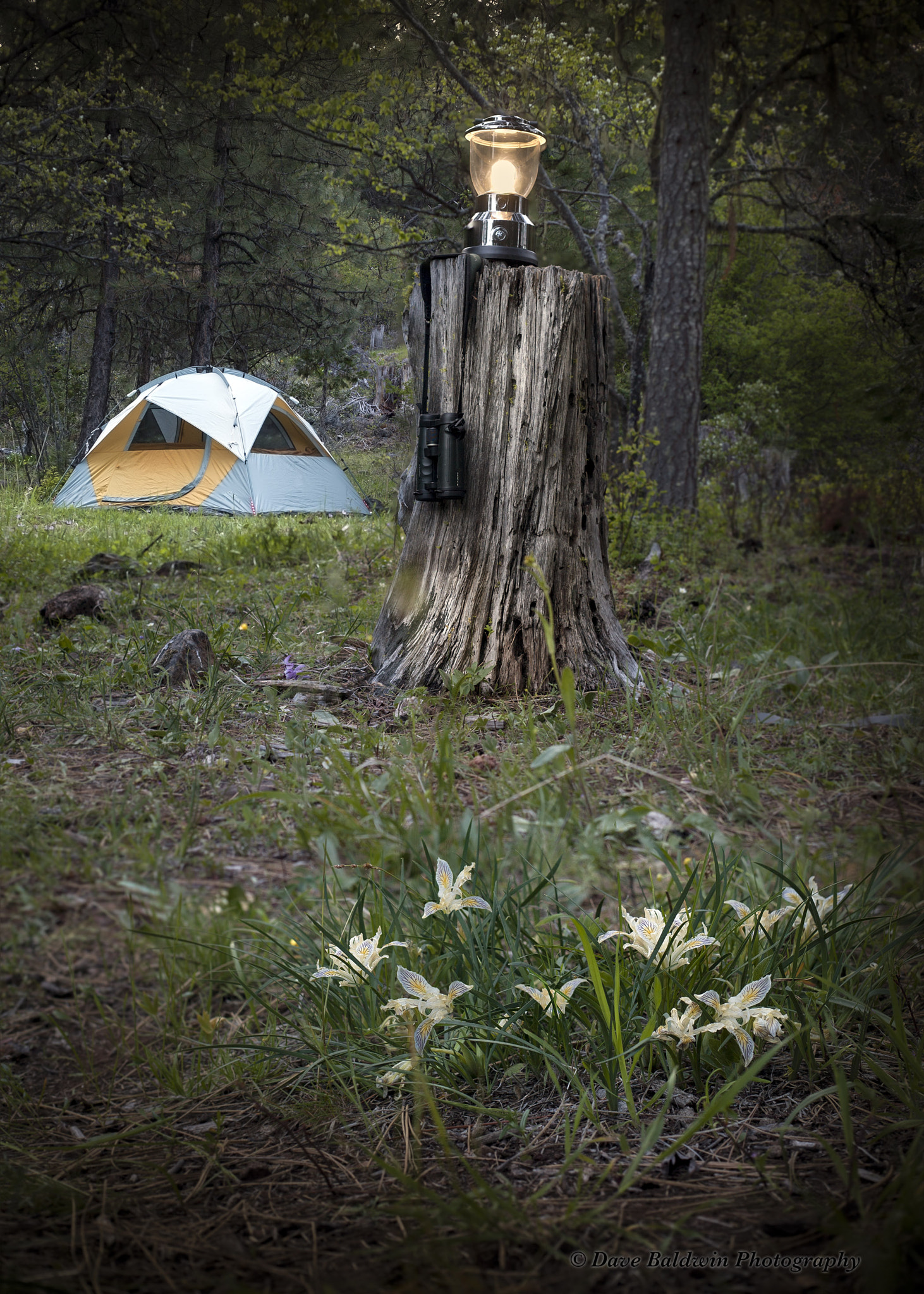 Canon EF 50mm f/1.8 sample photo. Roughing it in the southern oregon cascades. photography