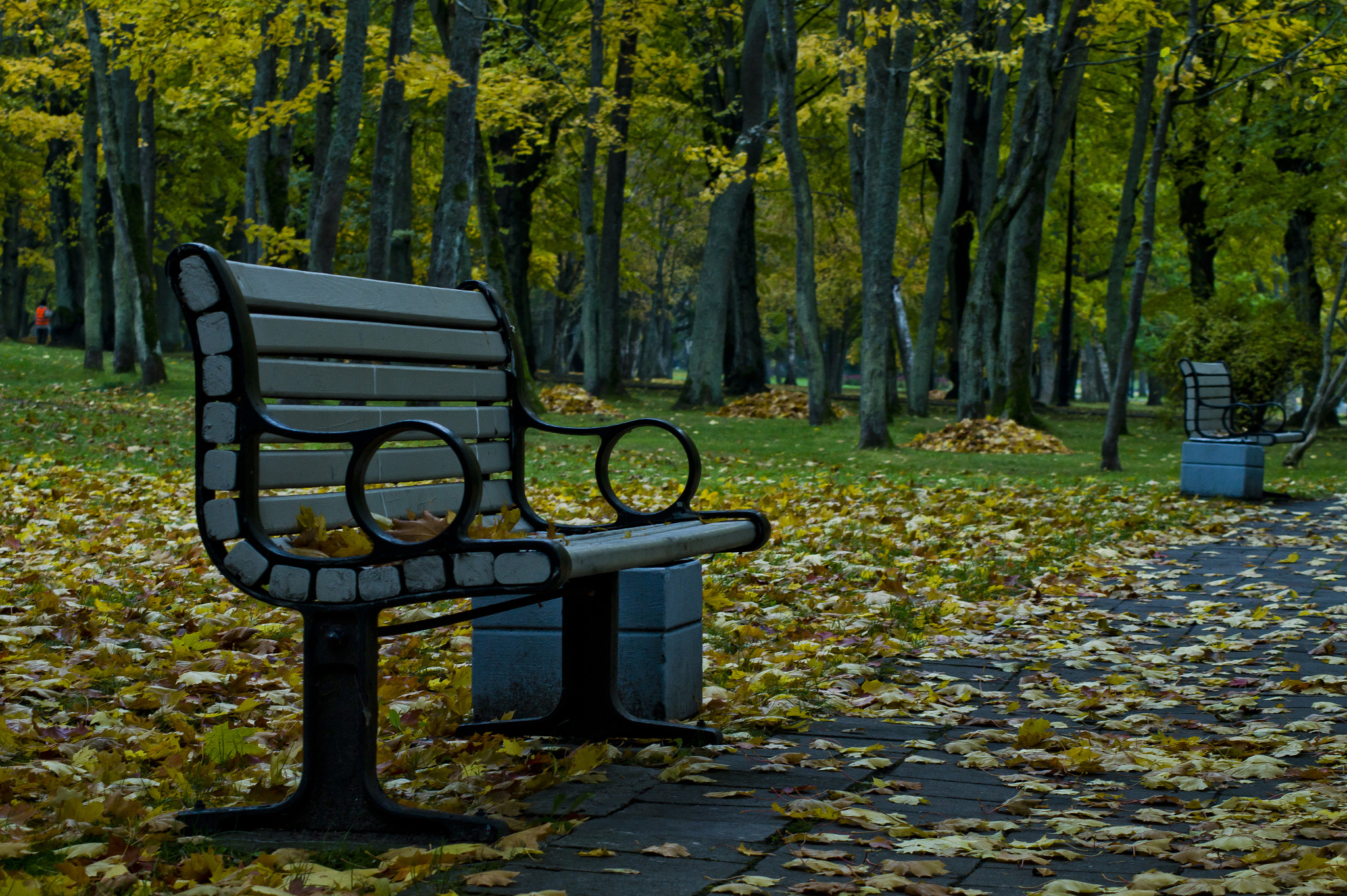 Sony SLT-A58 sample photo. Bench photography