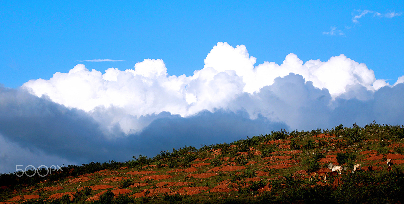 Canon EOS 750D (EOS Rebel T6i / EOS Kiss X8i) + Canon EF 24-105mm F4L IS USM sample photo. Where the sky meets the ground araku valley india photography