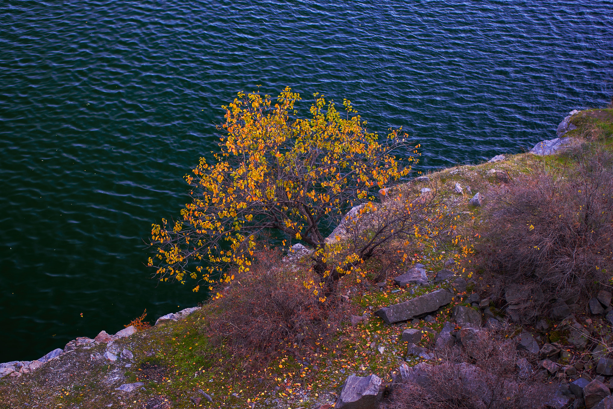 Canon EOS 7D Mark II + Tamron SP 45mm F1.8 Di VC USD sample photo. Autumn's colors photography