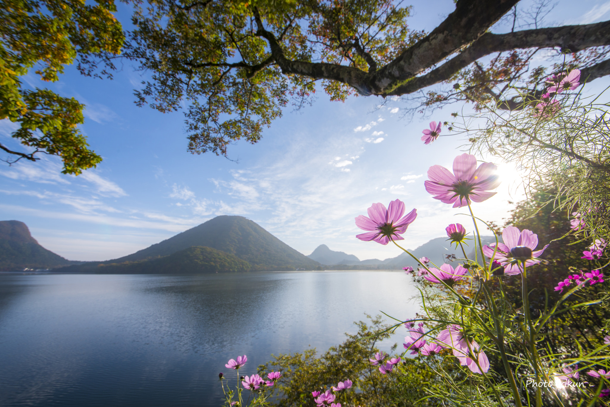 Sigma 12-24mm F4.5-5.6 II DG HSM sample photo. Lakeside flower photography