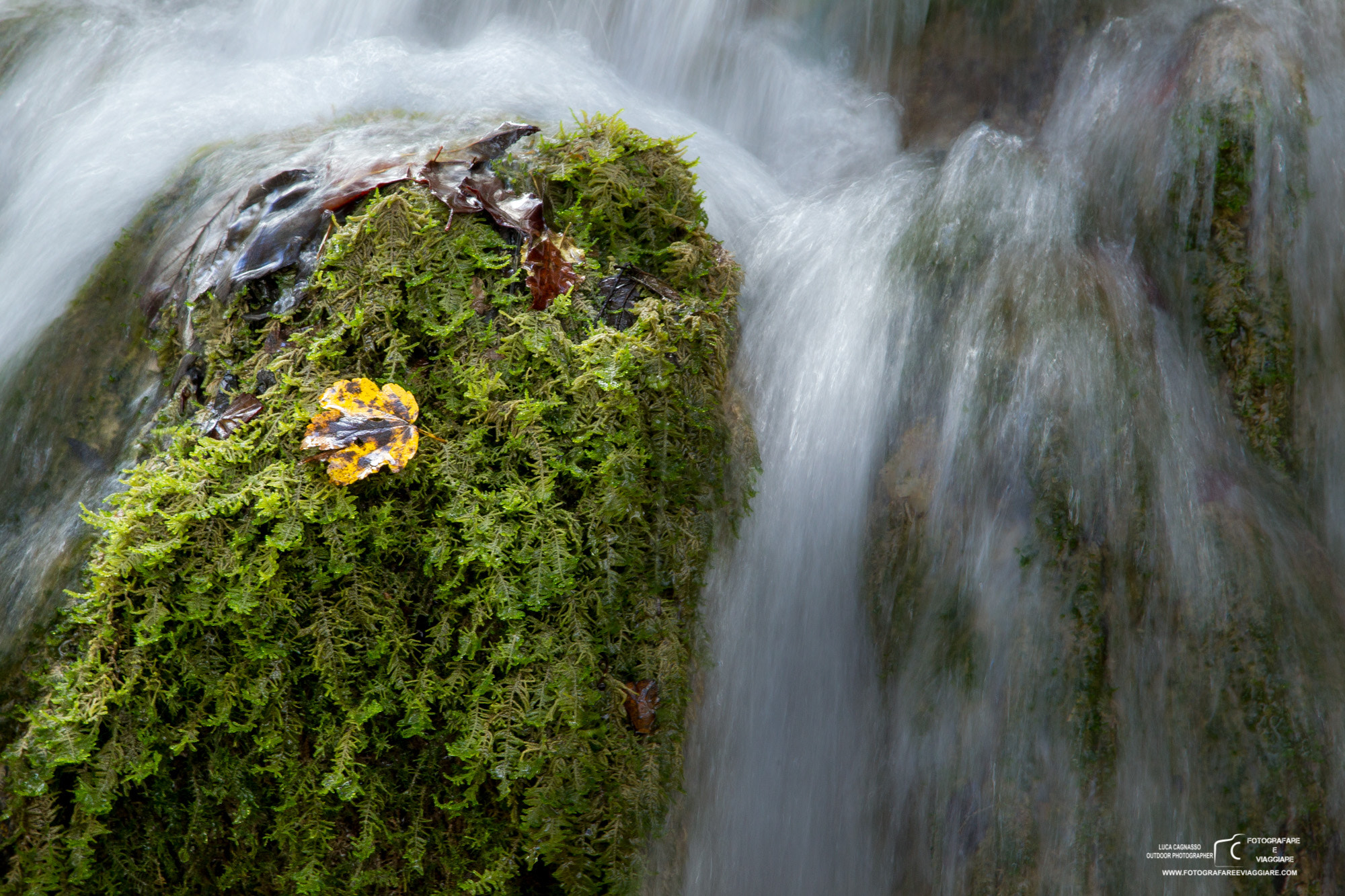 Canon EOS-1D Mark IV sample photo. Laghi di pltvice - plitvicka-jezera photography