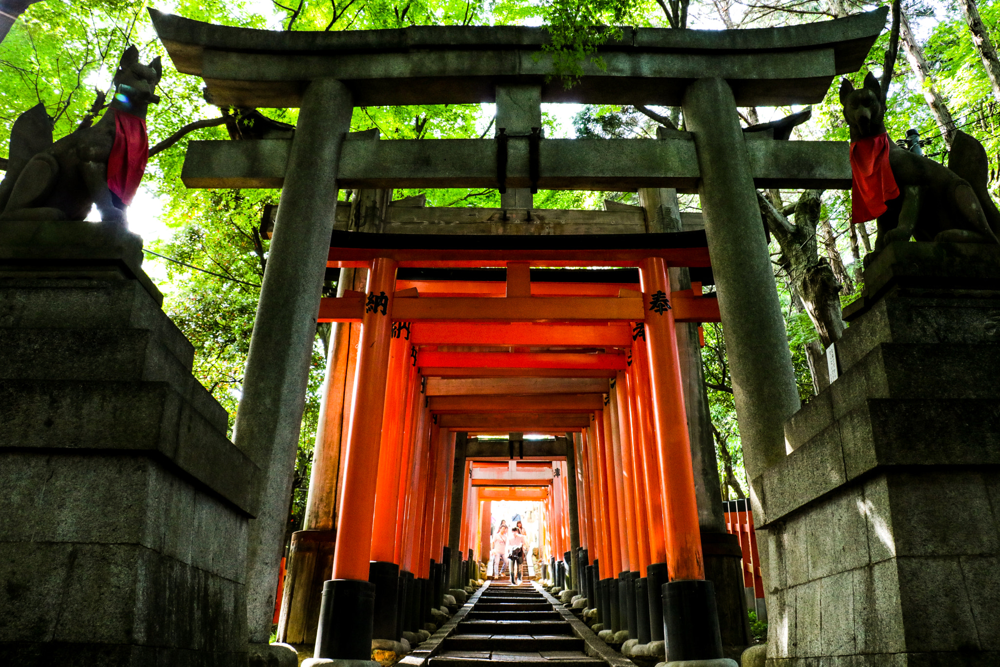 Canon EOS 760D (EOS Rebel T6s / EOS 8000D) sample photo. To fushimi inari photography