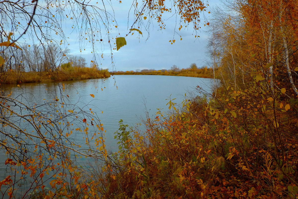 Fujifilm XC 16-50mm F3.5-5.6 OIS sample photo. September... photography