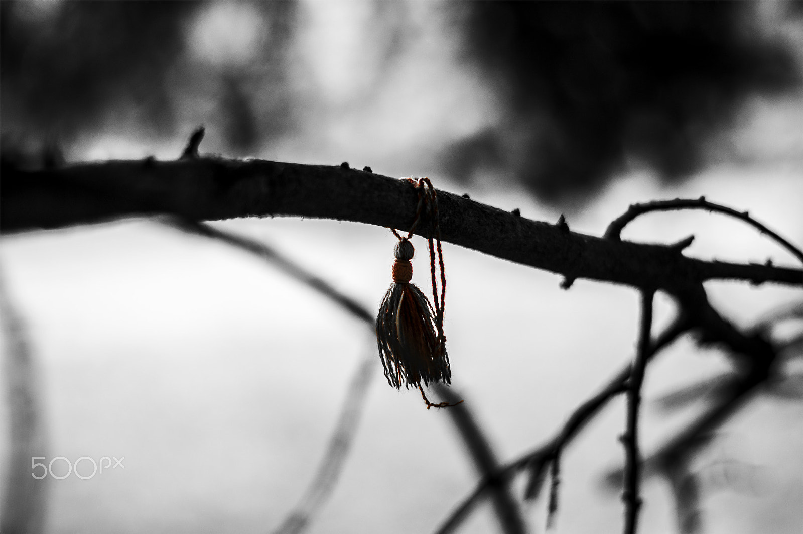 Sony SLT-A55 (SLT-A55V) + Sony 50mm F1.4 sample photo. Forgotten time photography