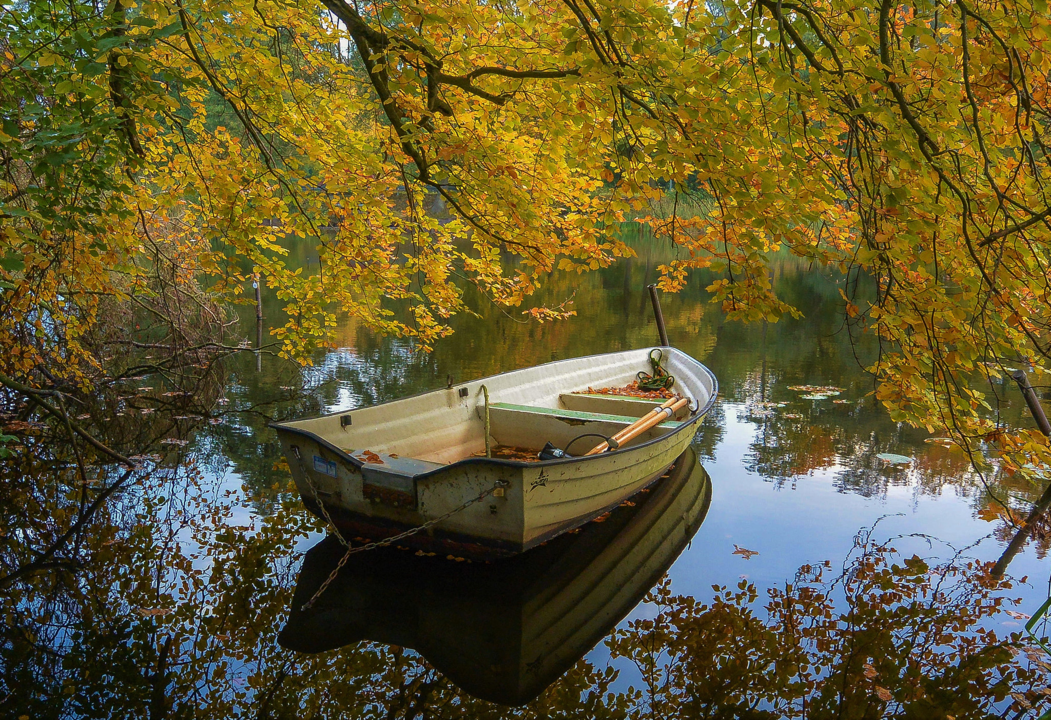 Nikon 1 S1 sample photo. Reflections of autumn photography