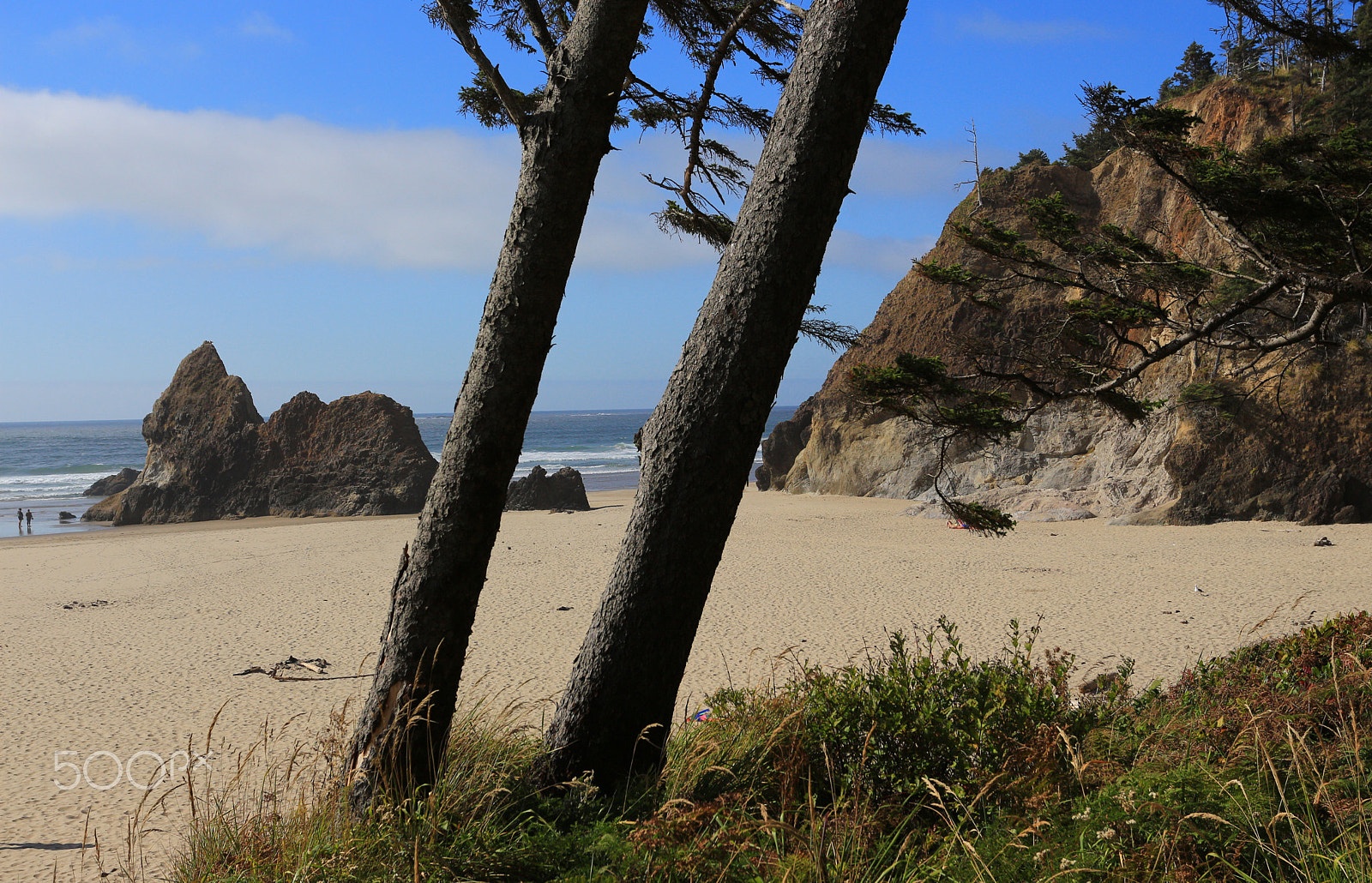 Canon EOS 700D (EOS Rebel T5i / EOS Kiss X7i) + Canon EF 17-40mm F4L USM sample photo. Tilted -arcadia state beach state park -oregon photography