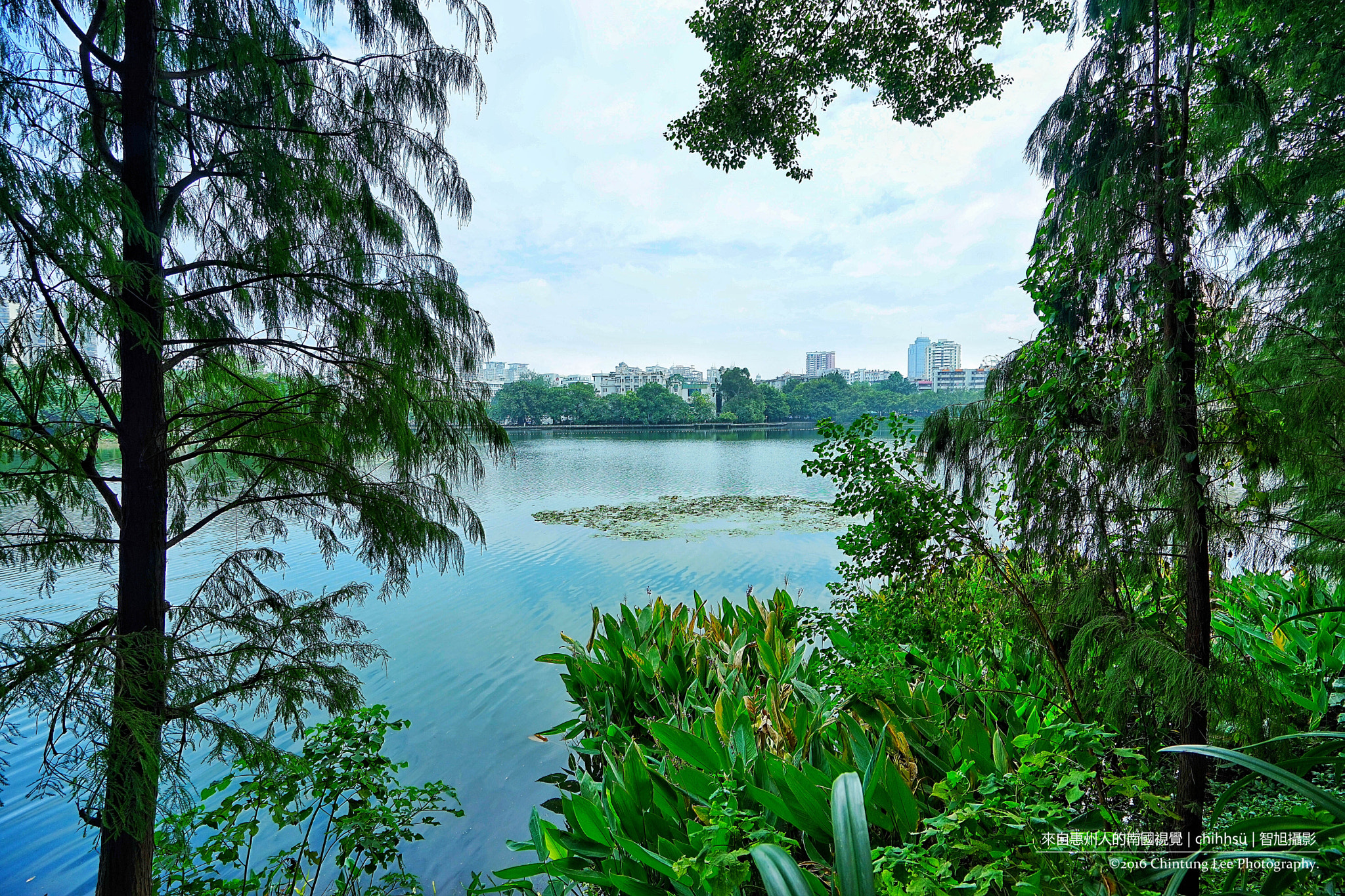 Sony Vario-Tessar T* FE 16-35mm F4 ZA OSS sample photo. Lake and trees photography