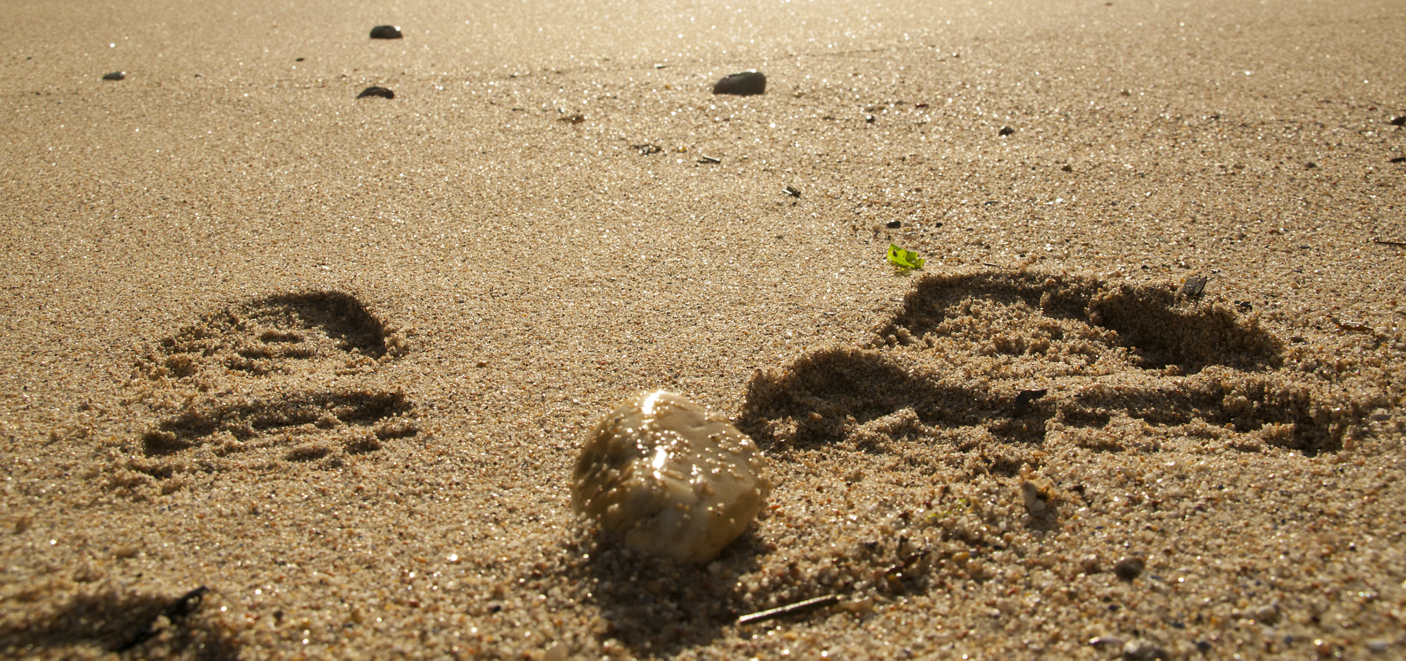 Pentax K-7 + Sigma sample photo. Lost in the sand photography