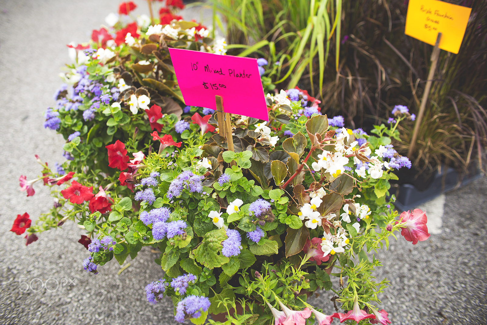 Sigma 30mm F1.4 EX DC HSM sample photo. Bentonville farmers market photography