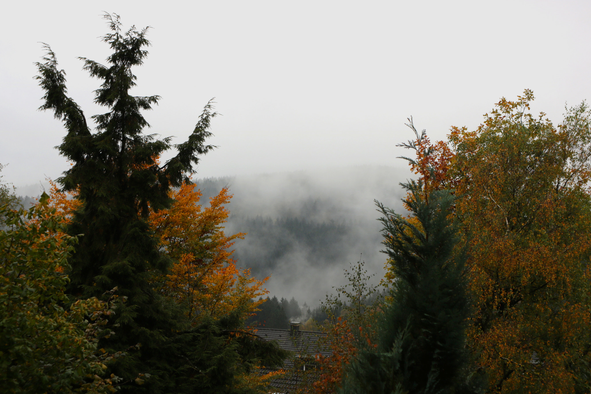 Canon EF 35-80mm f/4-5.6 sample photo. Autumn colours photography