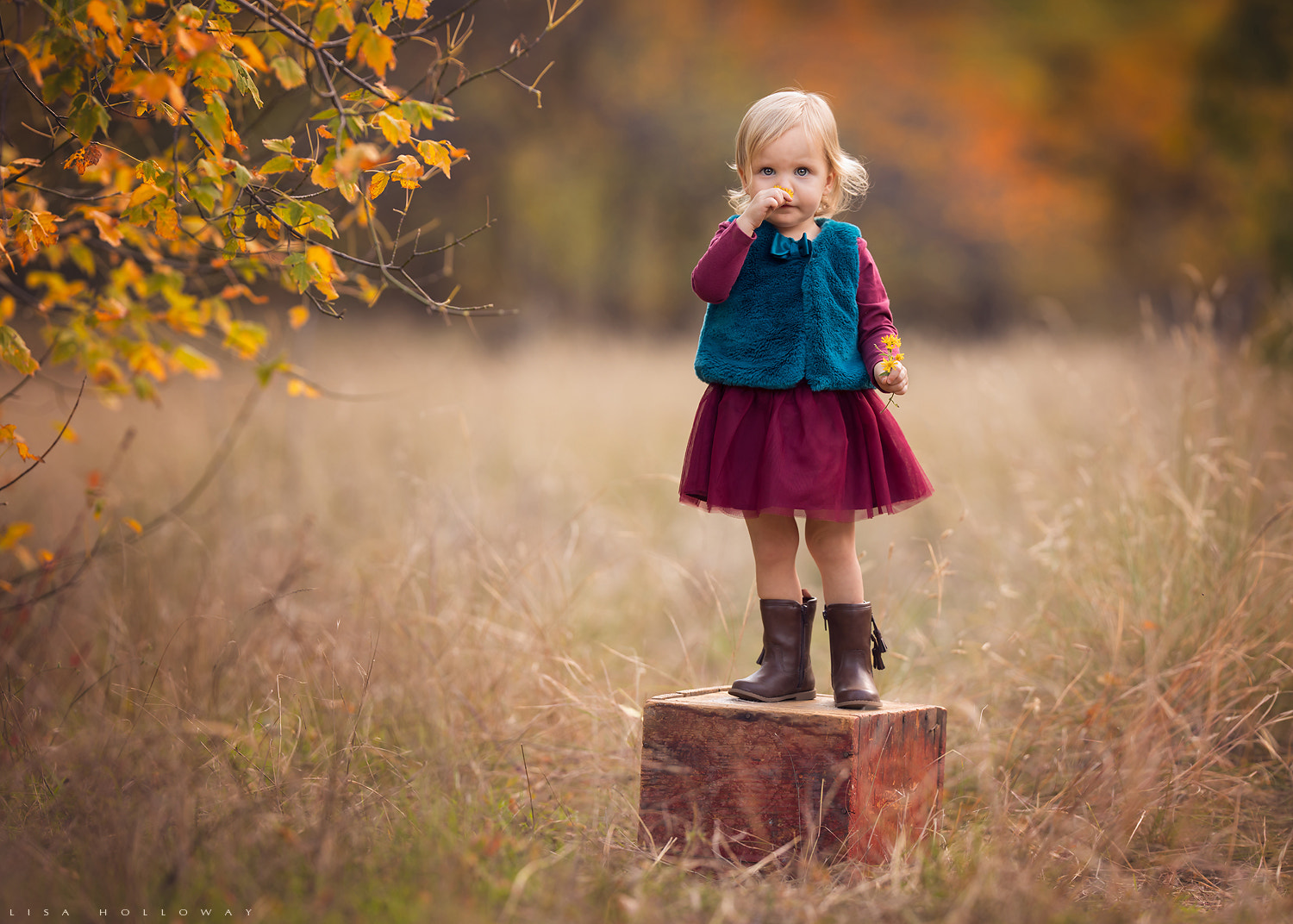 Canon EOS 5D Mark IV + Canon EF 200mm F2L IS USM sample photo. Fall flowers photography