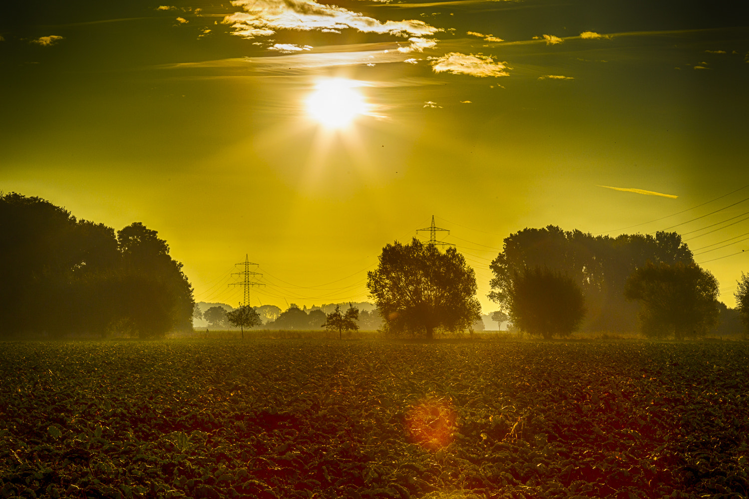 Canon EOS-1D Mark IV sample photo. Sonnenaufgang herrenshoff photography