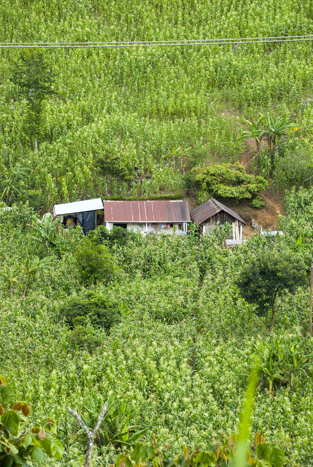 Nikon D200 sample photo. Poor house in guatemala photography