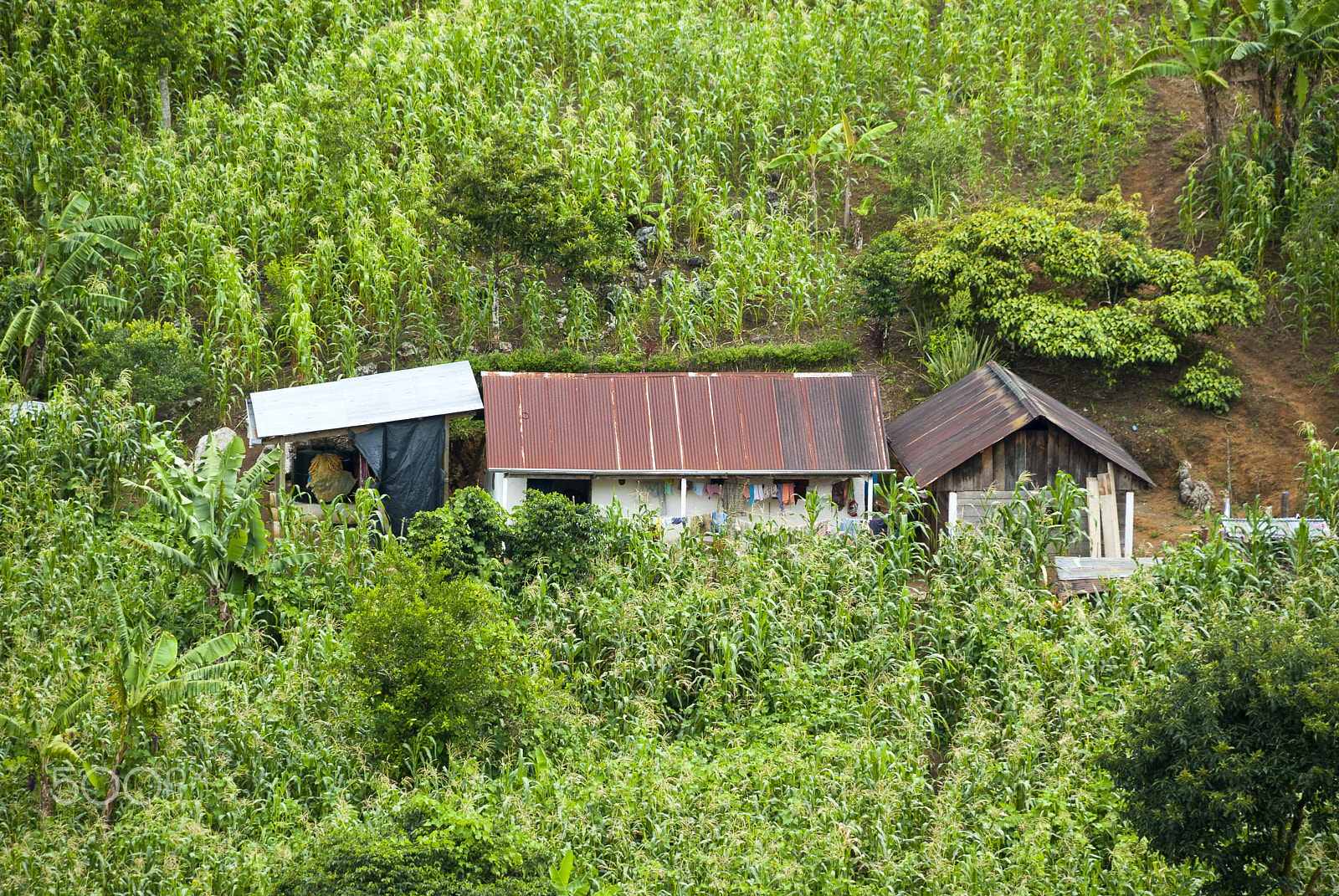Nikon D200 sample photo. Poor house in guatemala photography