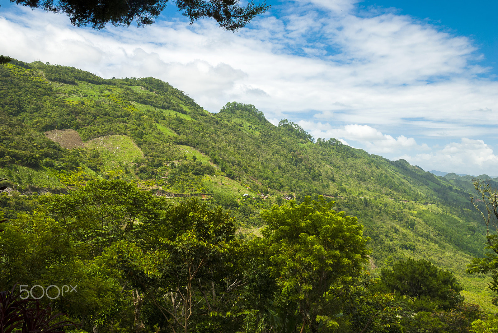 Nikon D200 sample photo. Guatemala sunrise in the jungle photography