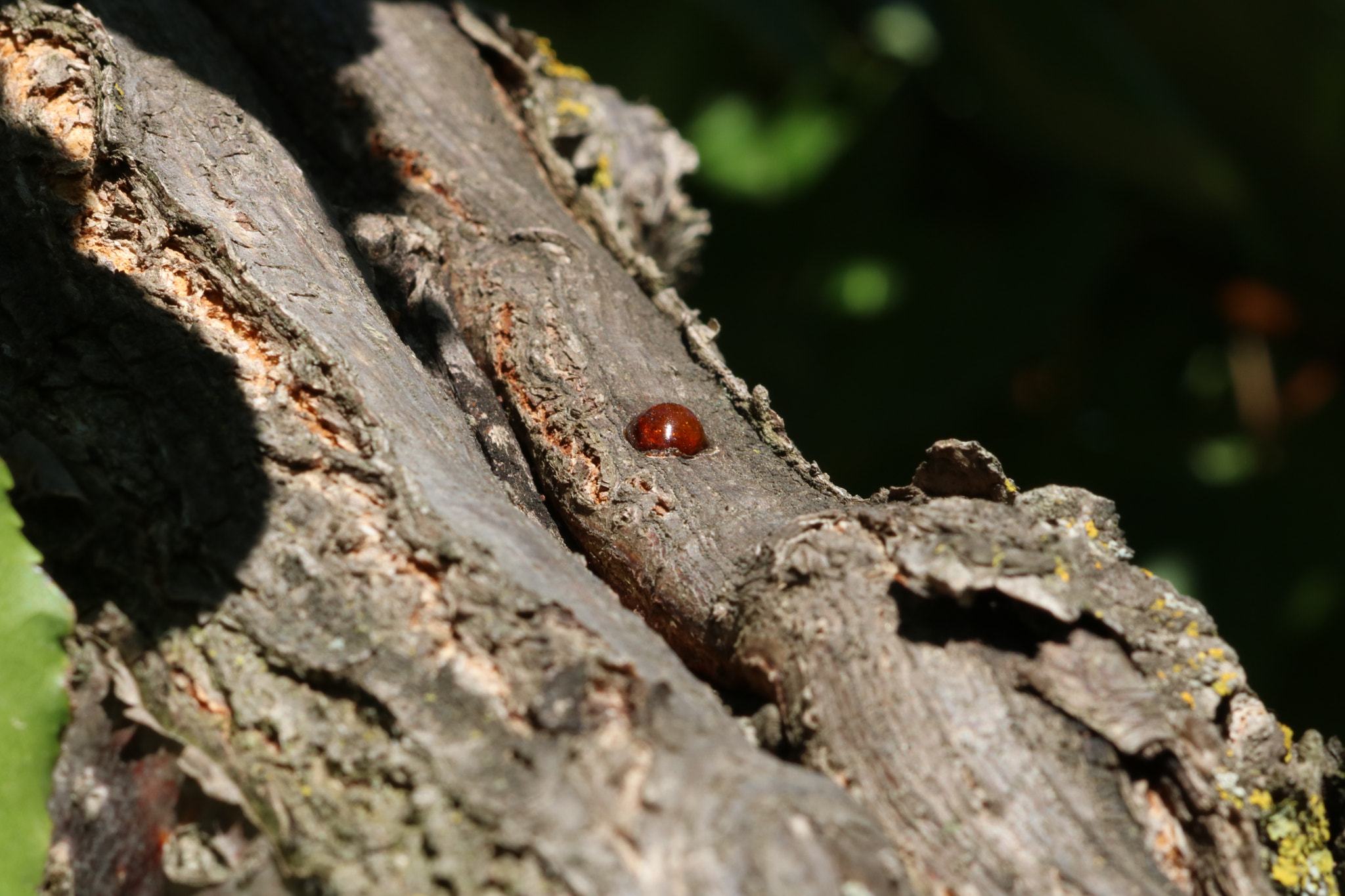 Canon EOS 750D (EOS Rebel T6i / EOS Kiss X8i) sample photo. [] photography