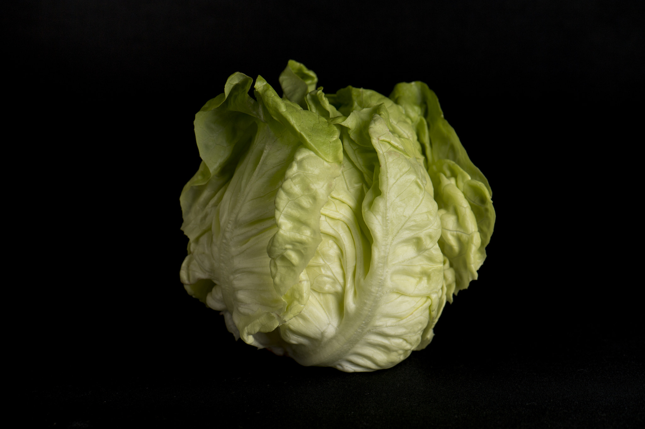 Nikon D5 sample photo. 20161024_0014.jpg photography