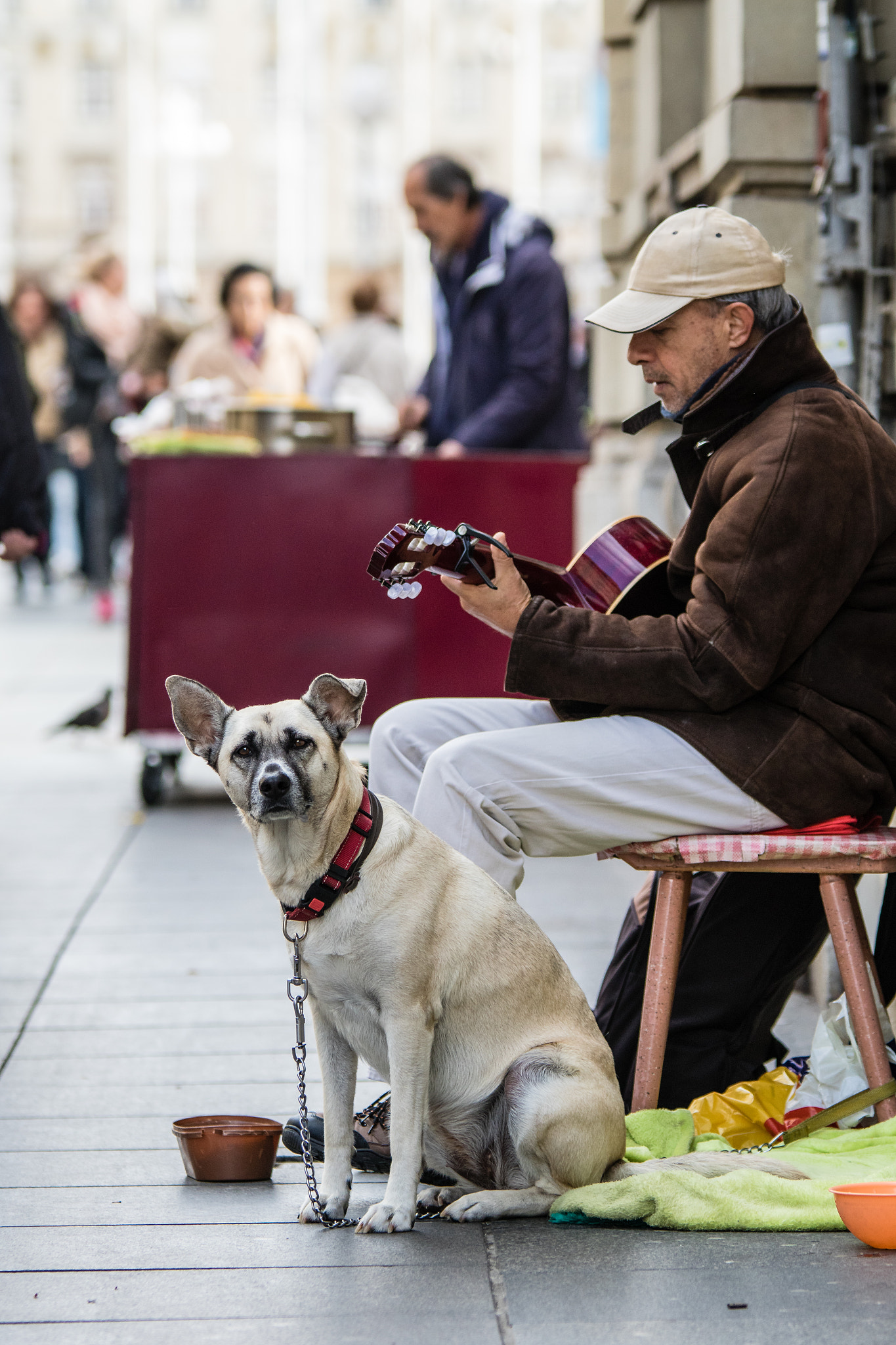 Sigma 70-200mm F2.8 EX DG OS HSM sample photo. Man's best friend photography
