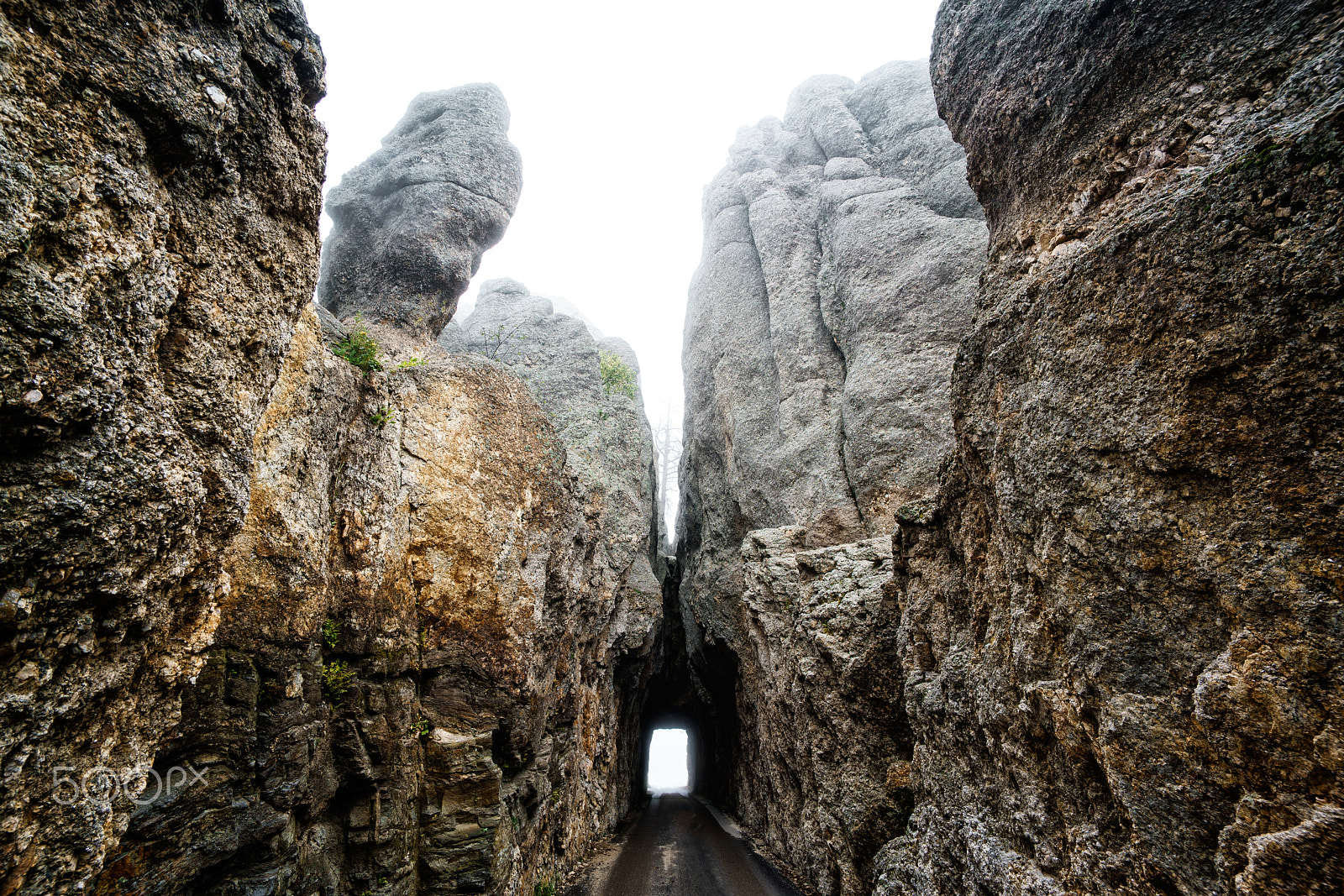 Sony a7R II + Voigtlander SUPER WIDE-HELIAR 15mm F4.5 III sample photo. Needles black hills south dakota photography