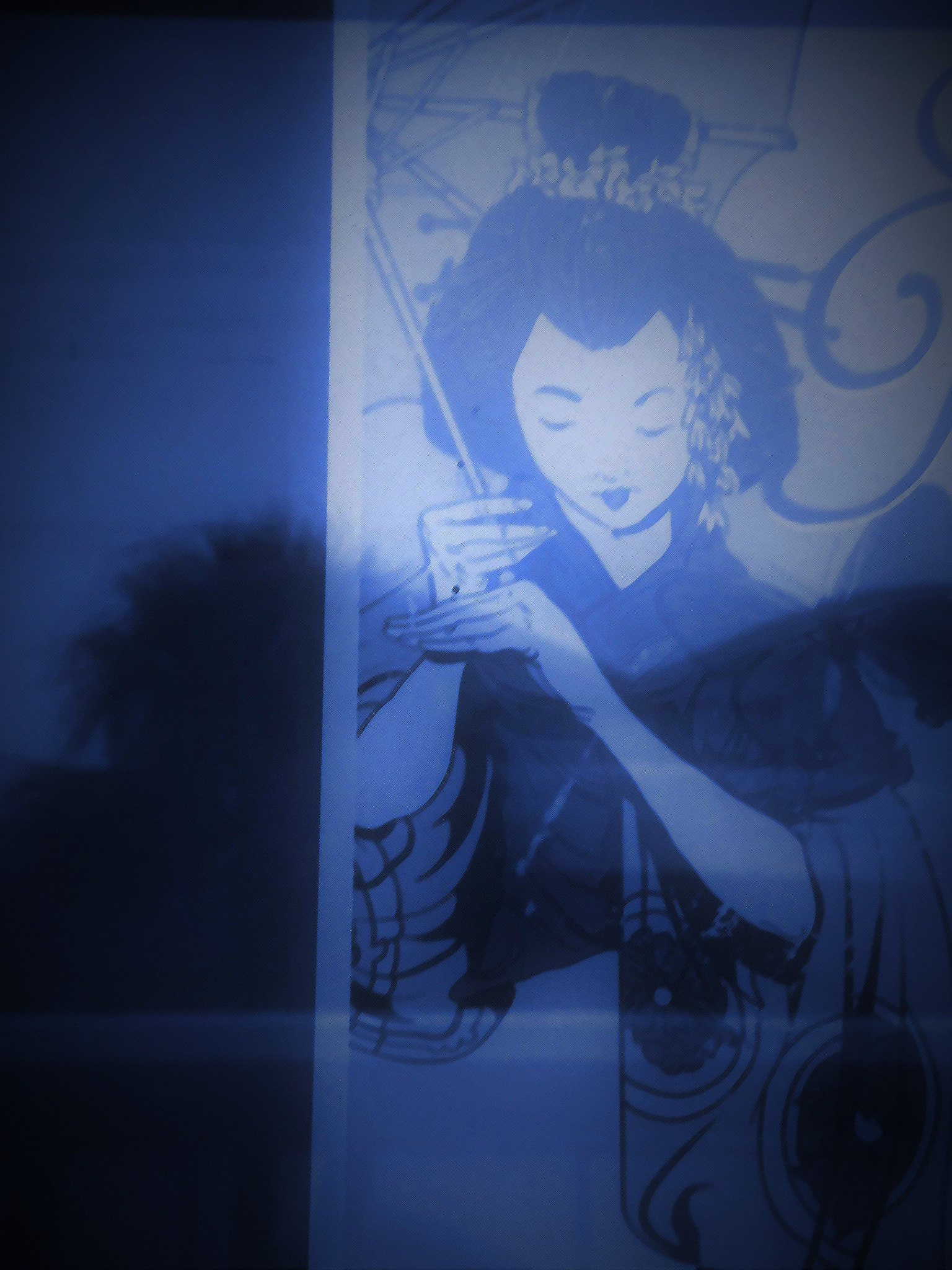 Samsung PL120,PL121 / VLUU PL120,PL121 sample photo. Geisha of mist photography
